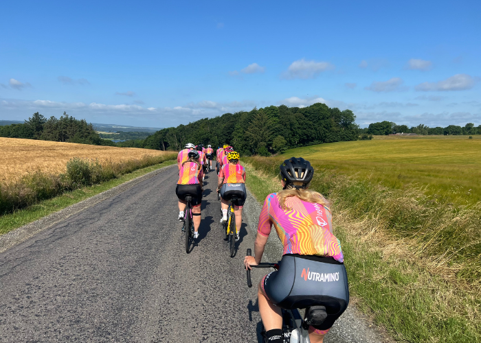 Rytterne set bagfra cyklende på landevejen i solskin