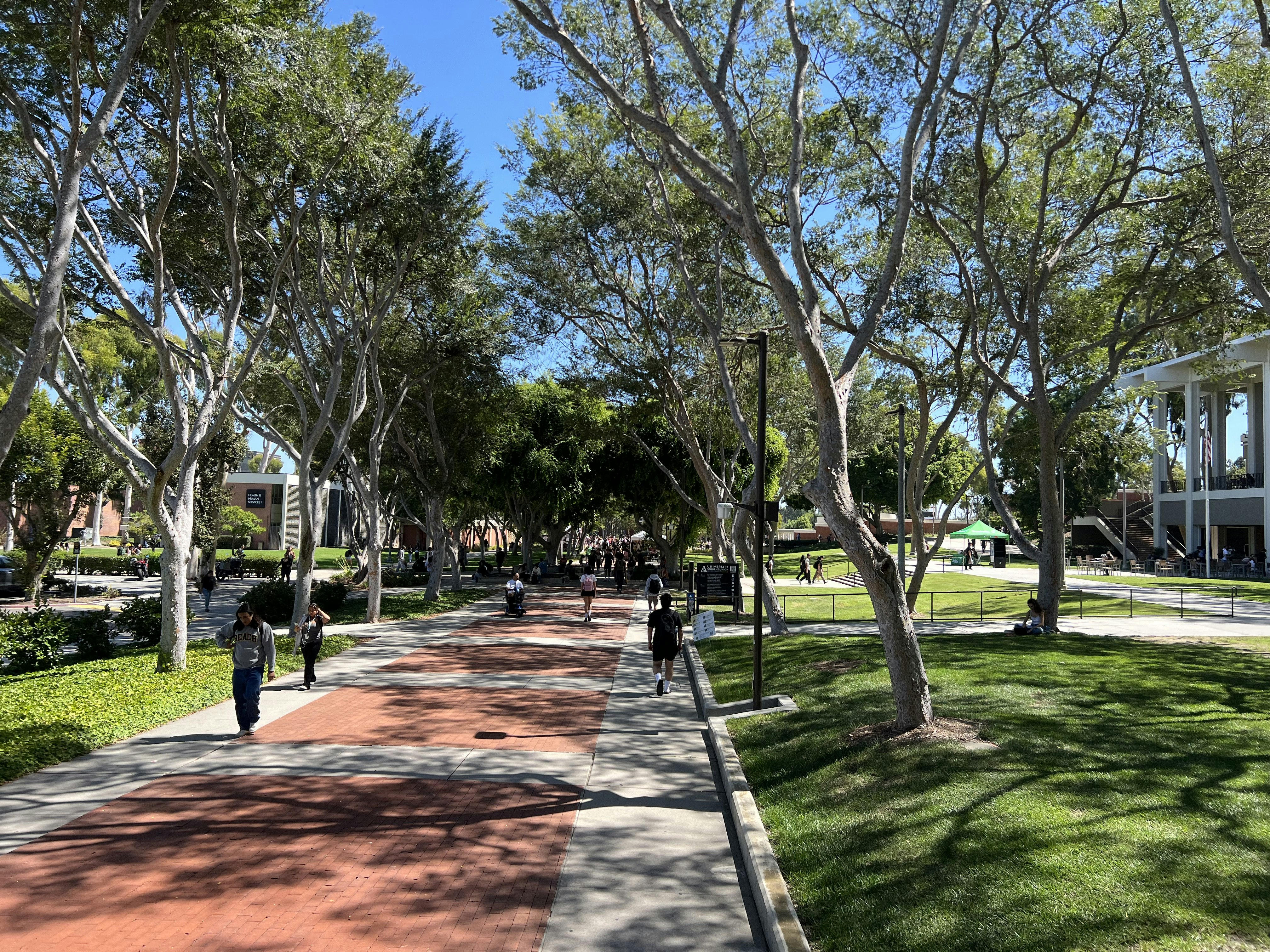 Img: grass, park, path, sidewalk, tree, person, tree trunk, campus, city, shoe