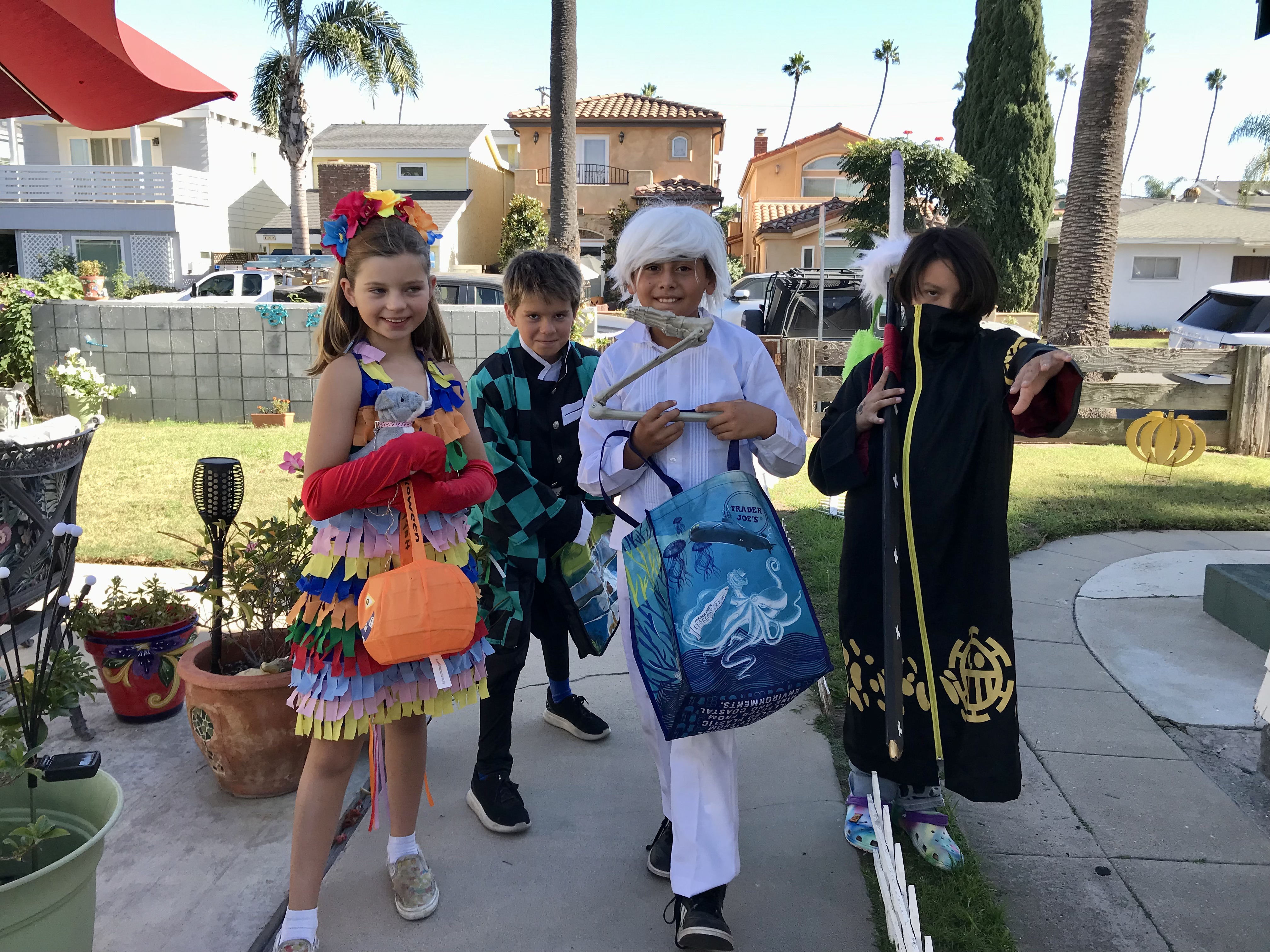 Img: potted plant, shelter, costume, person, neighborhood, dress, handbag, child, female, girl