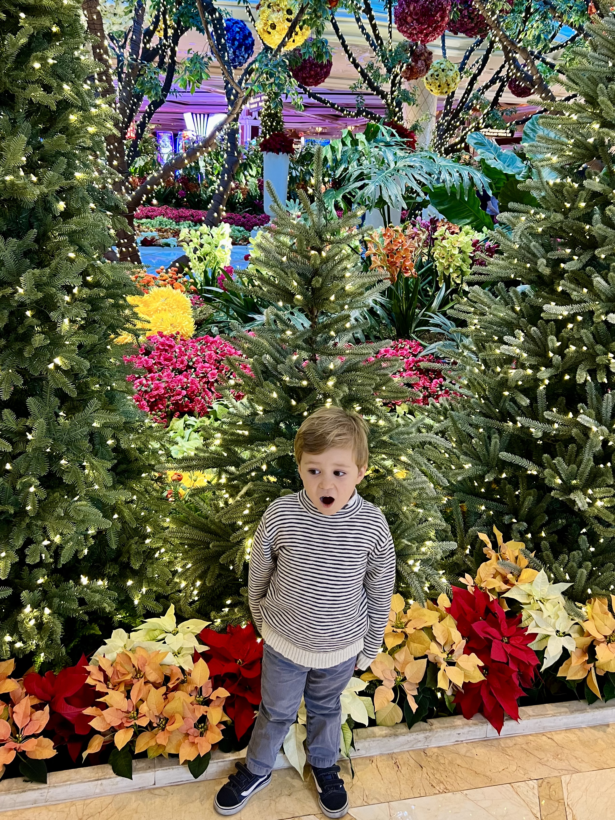 Img: boy, child, male, person, plant, tree, face, head, portrait, potted plant