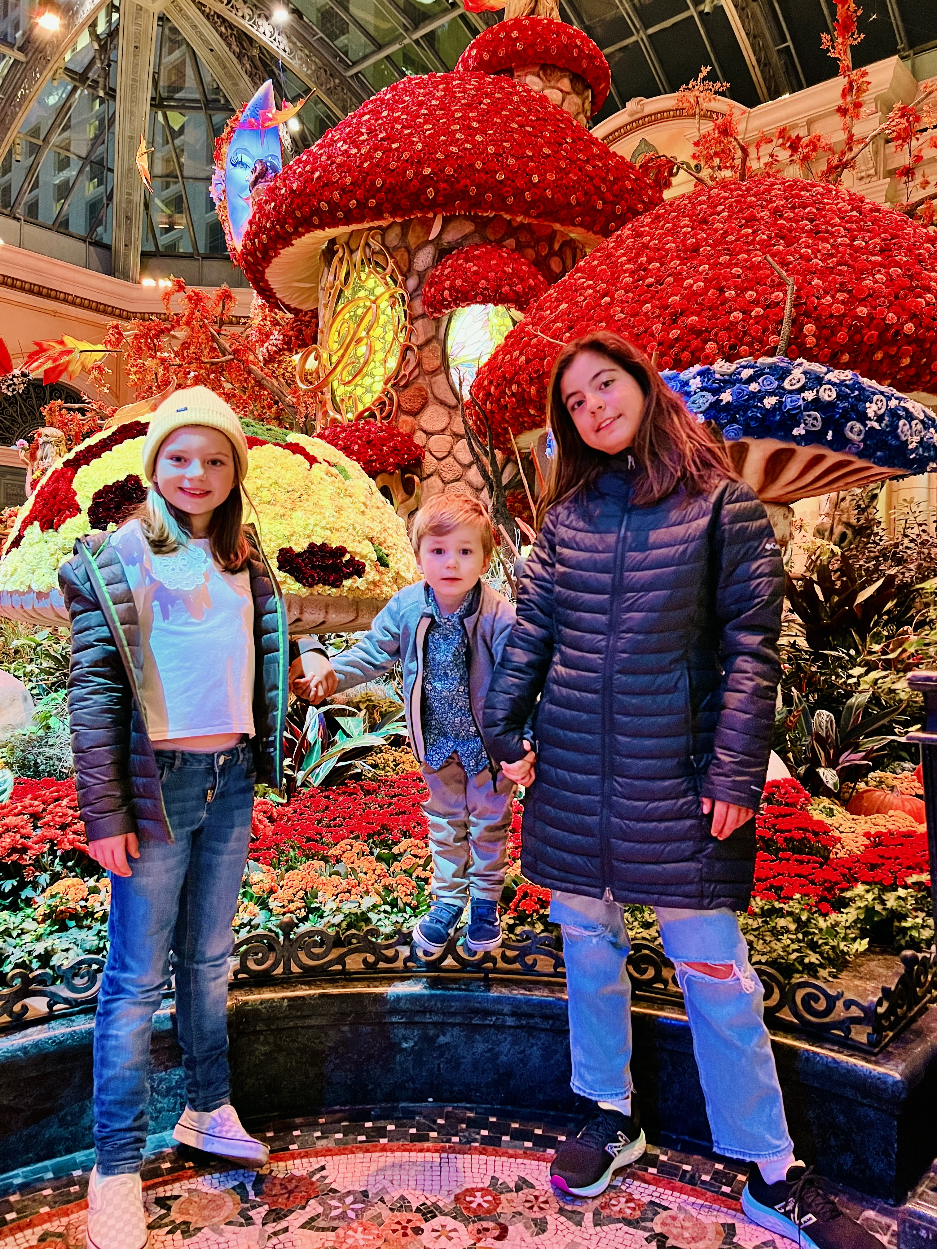 Img: pants, potted plant, person, photography, portrait, jeans, coat, jacket, people, teen