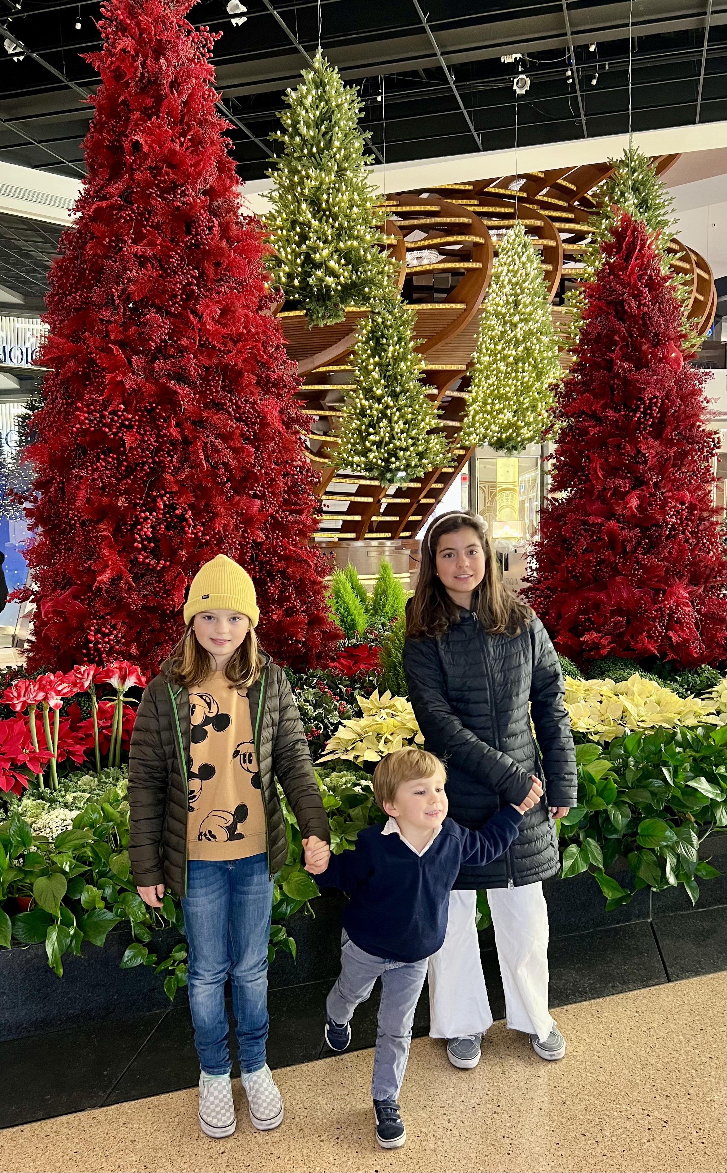 Img: tree, pants, female, girl, person, teen, adult, woman, boy, child