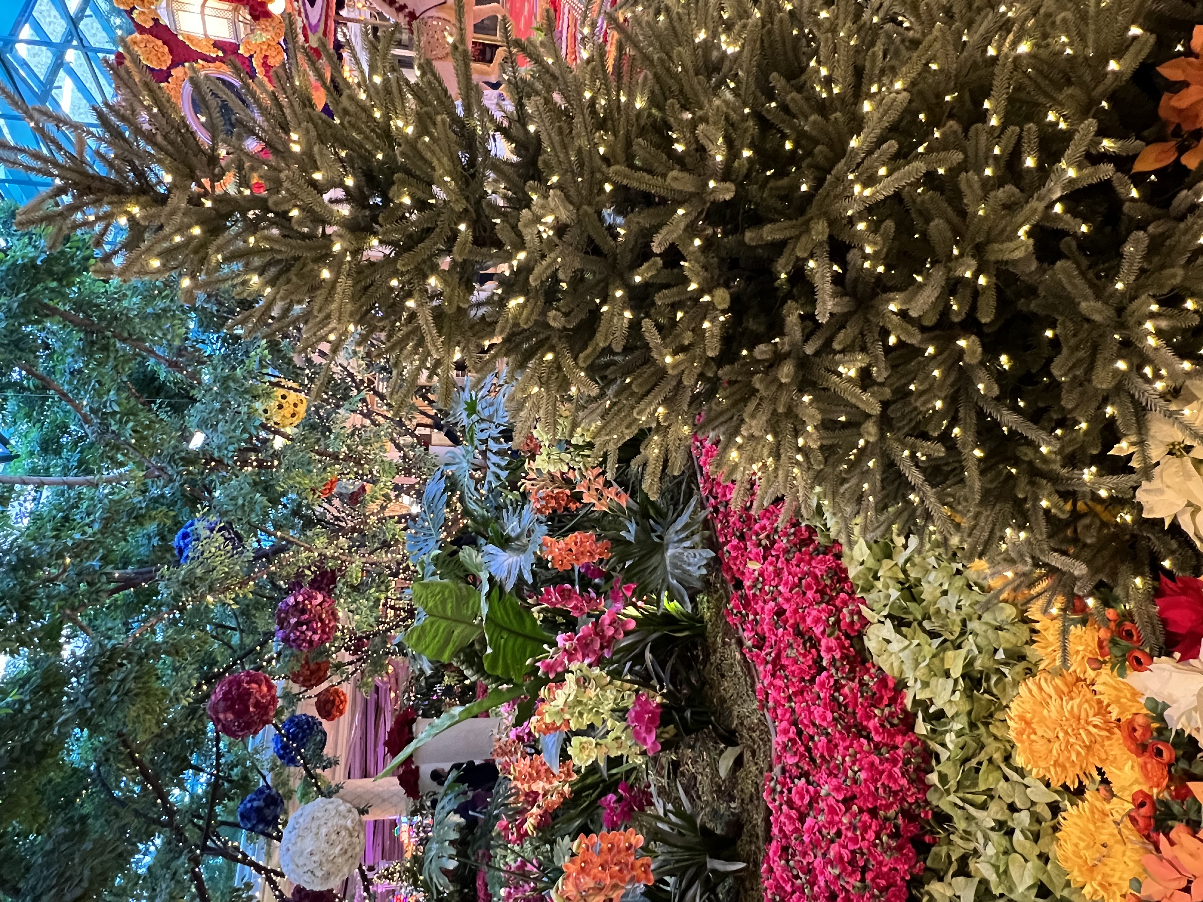 Img: tree, person, potted plant, garden, nature, outdoors, christmas decorations, festival, christmas tree, flower