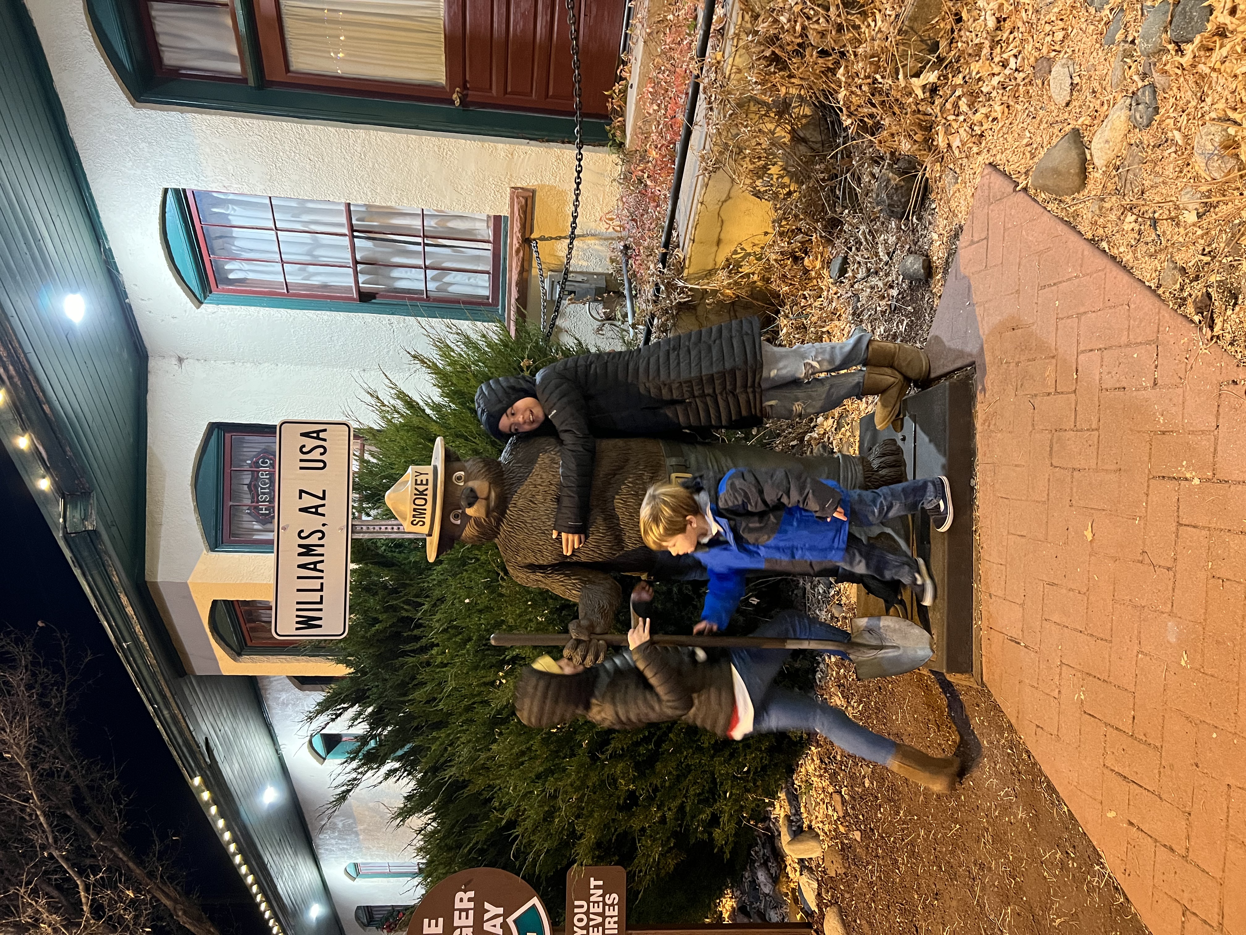 Img: path, walkway, pants, sidewalk, brick, jeans, flagstone, portrait, tree, city