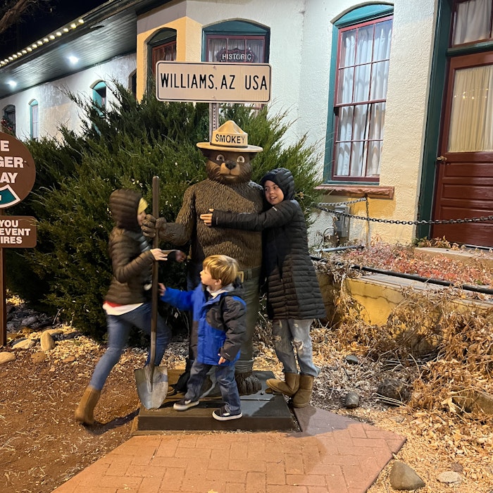 Img: path, walkway, pants, sidewalk, brick, jeans, flagstone, portrait, tree, city