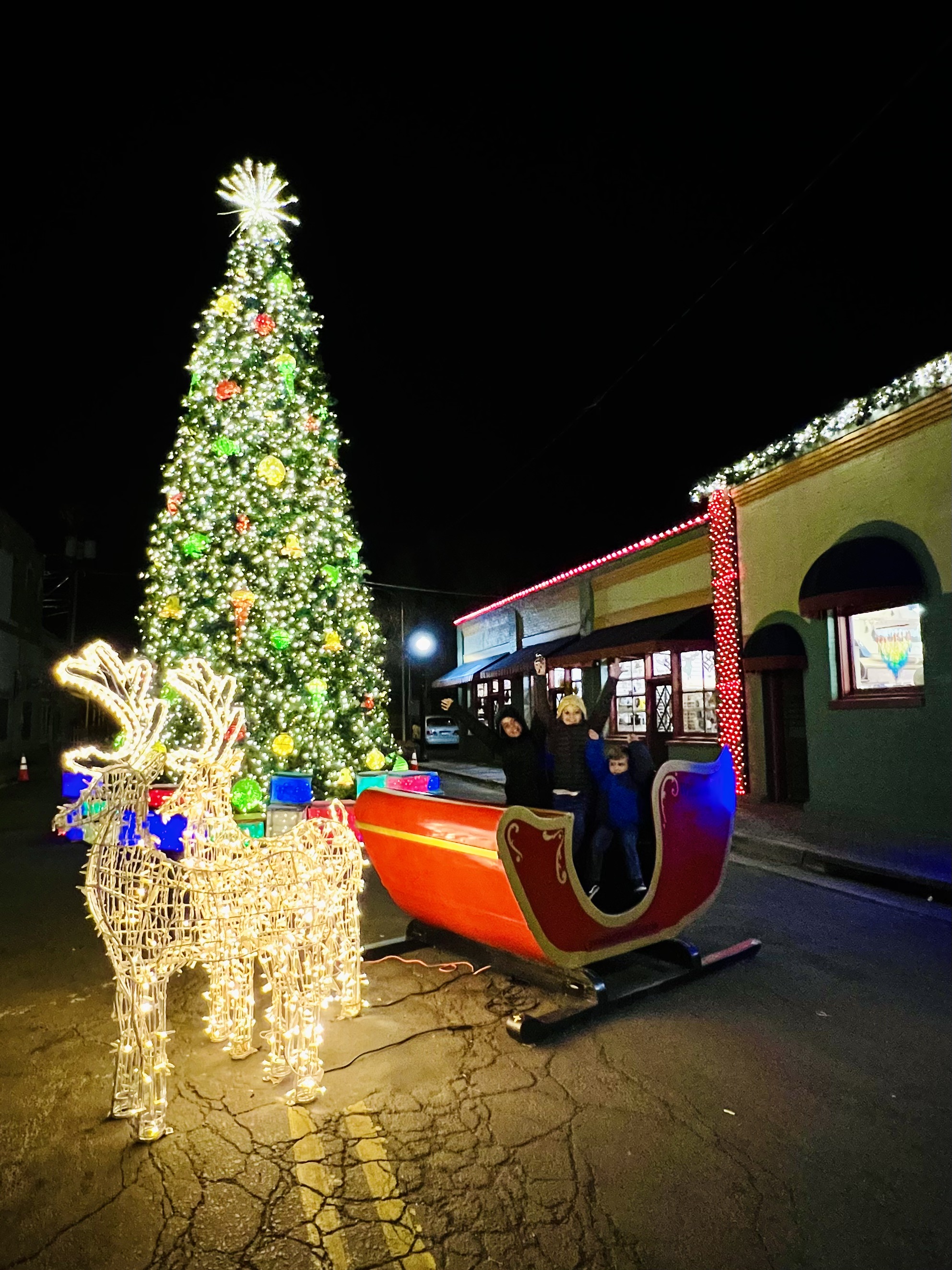 Img: christmas, christmas decorations, festival, christmas tree, person, car, transportation, vehicle