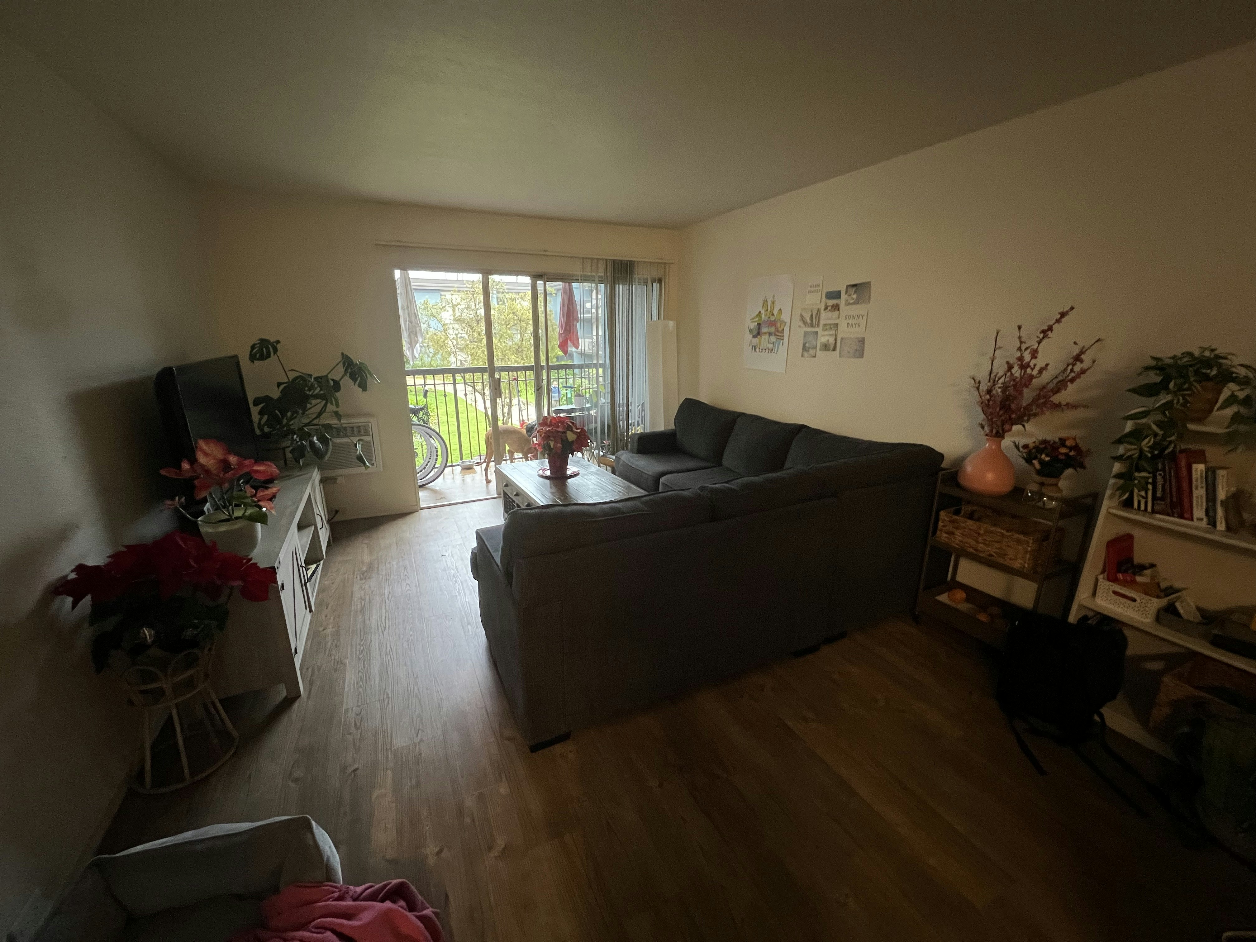 Img: floor, flooring, furniture, living room, couch, wood, hardwood, interior design, flower arrangement, flower bouquet