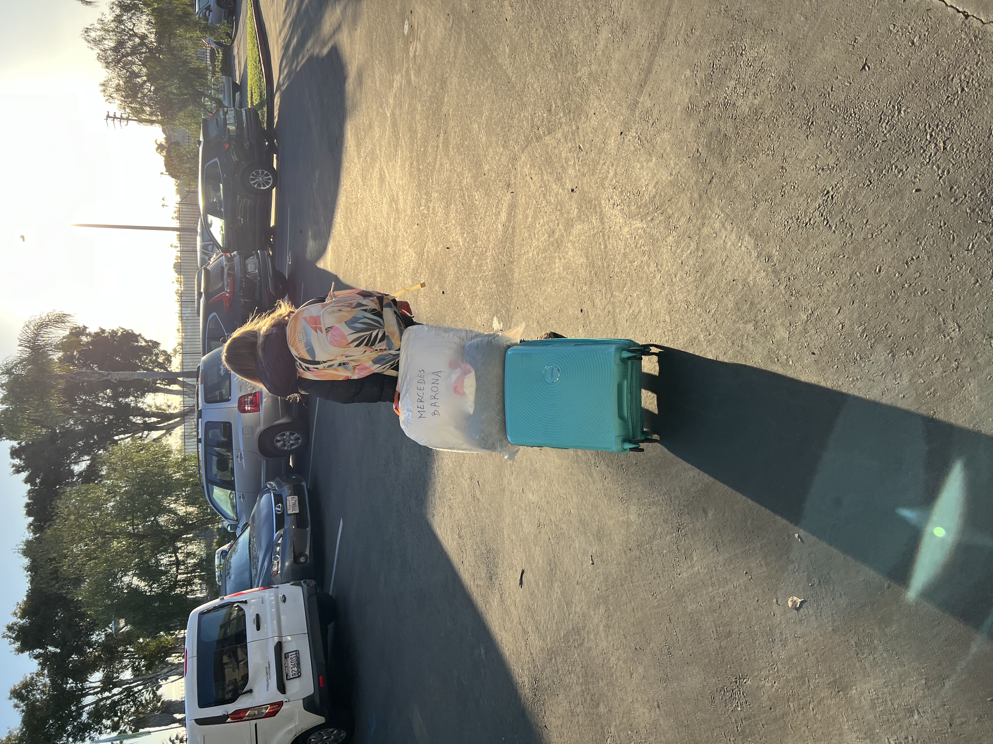 Img: handbag, car, person, road, city, street, urban, license plate, chair, backpack