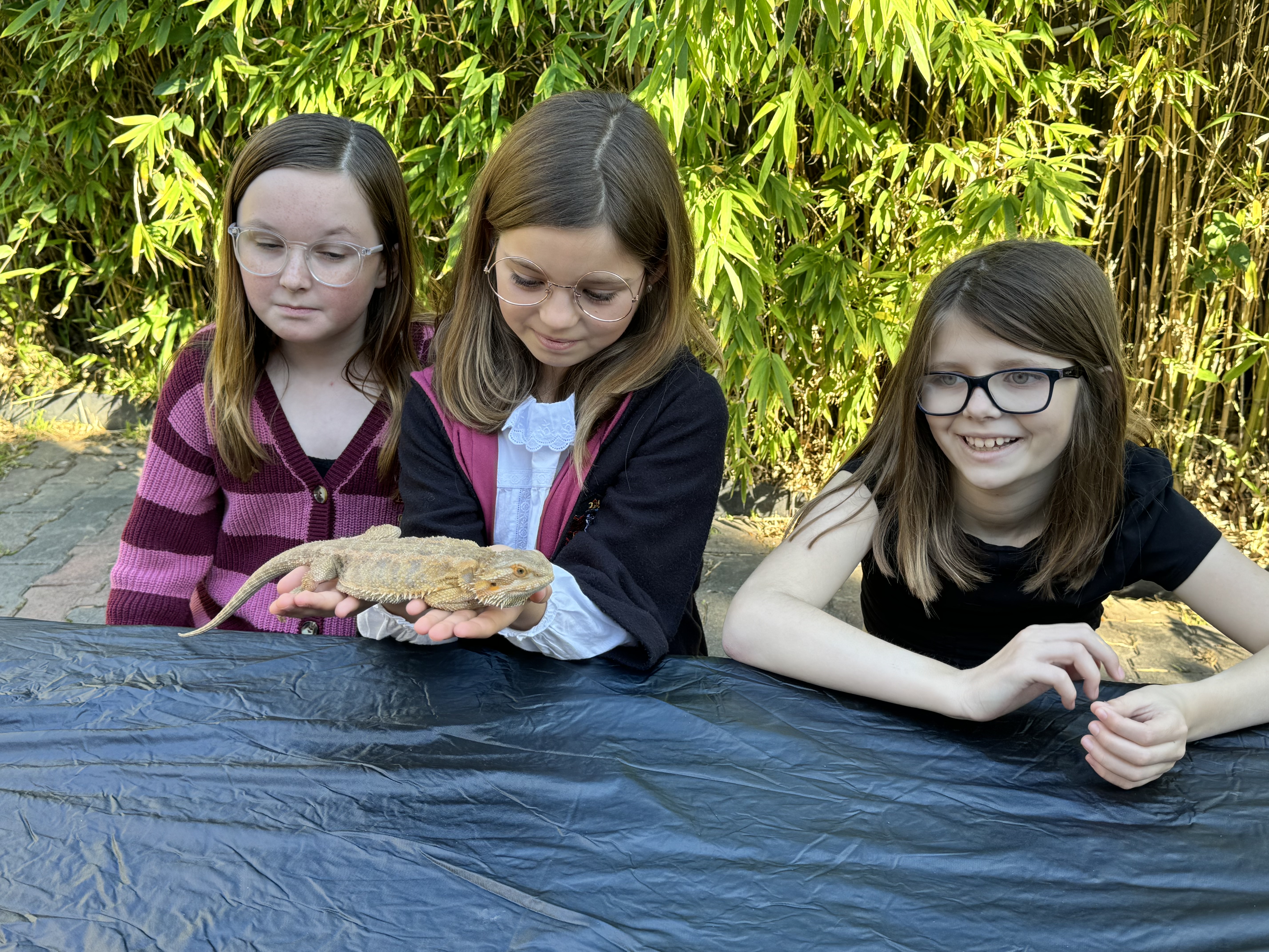 Img: face, person, photography, portrait, glasses, vegetation, finger, lizard, tree, tie