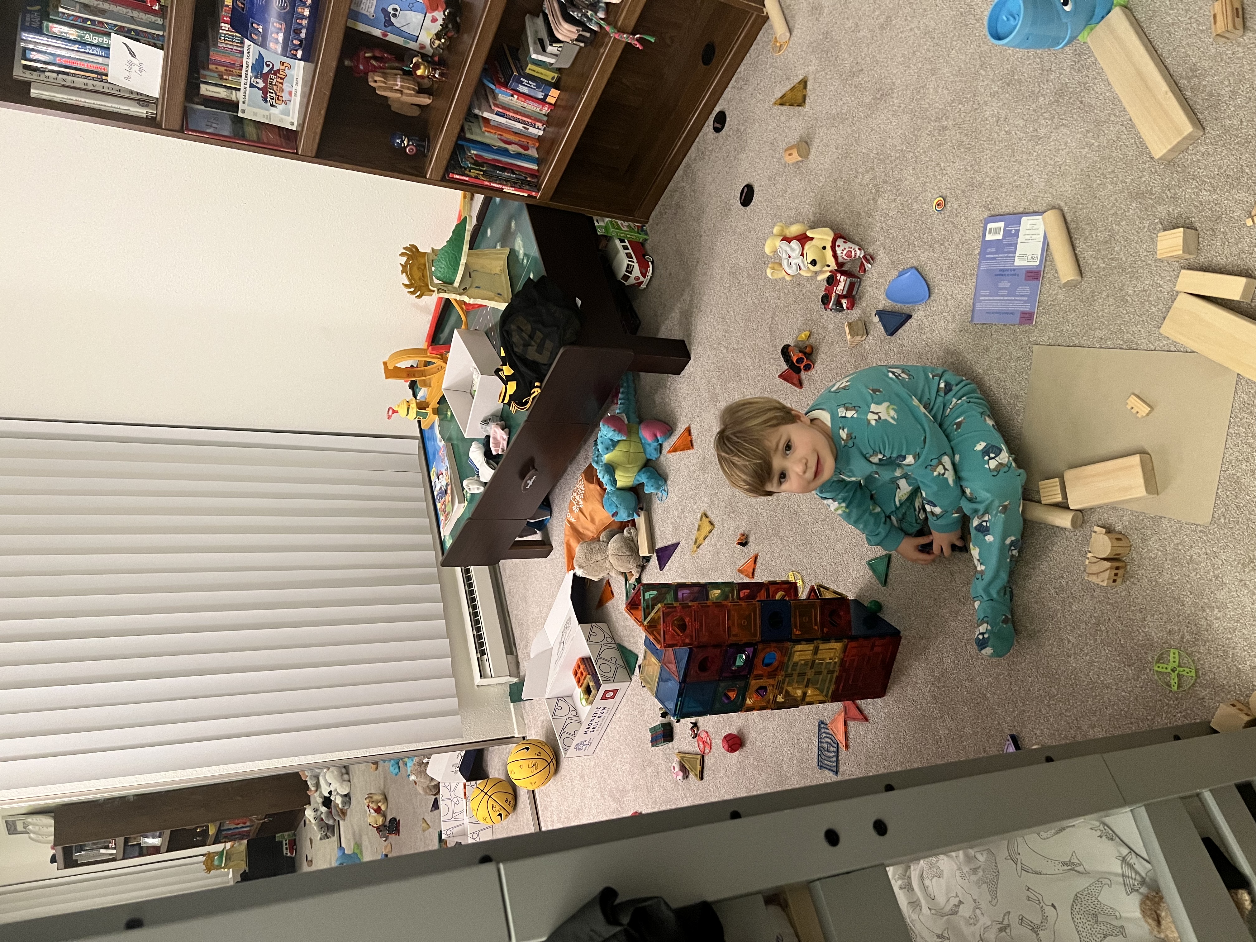 Img: furniture, indoors, living room, shelf, floor, person, flooring, volleyball (ball), bookcase, interior design