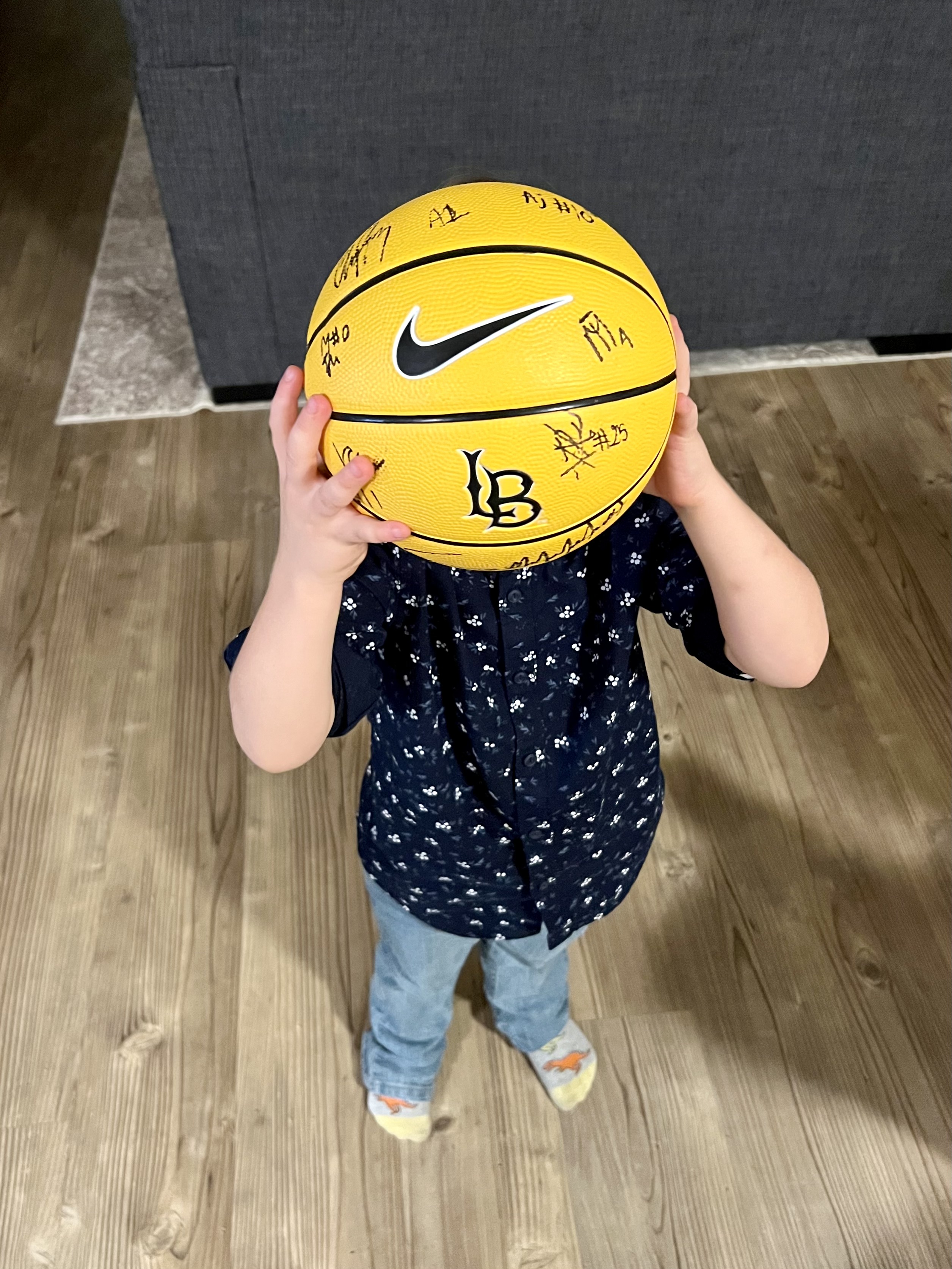 Img: ball, basketball, basketball (ball), sport