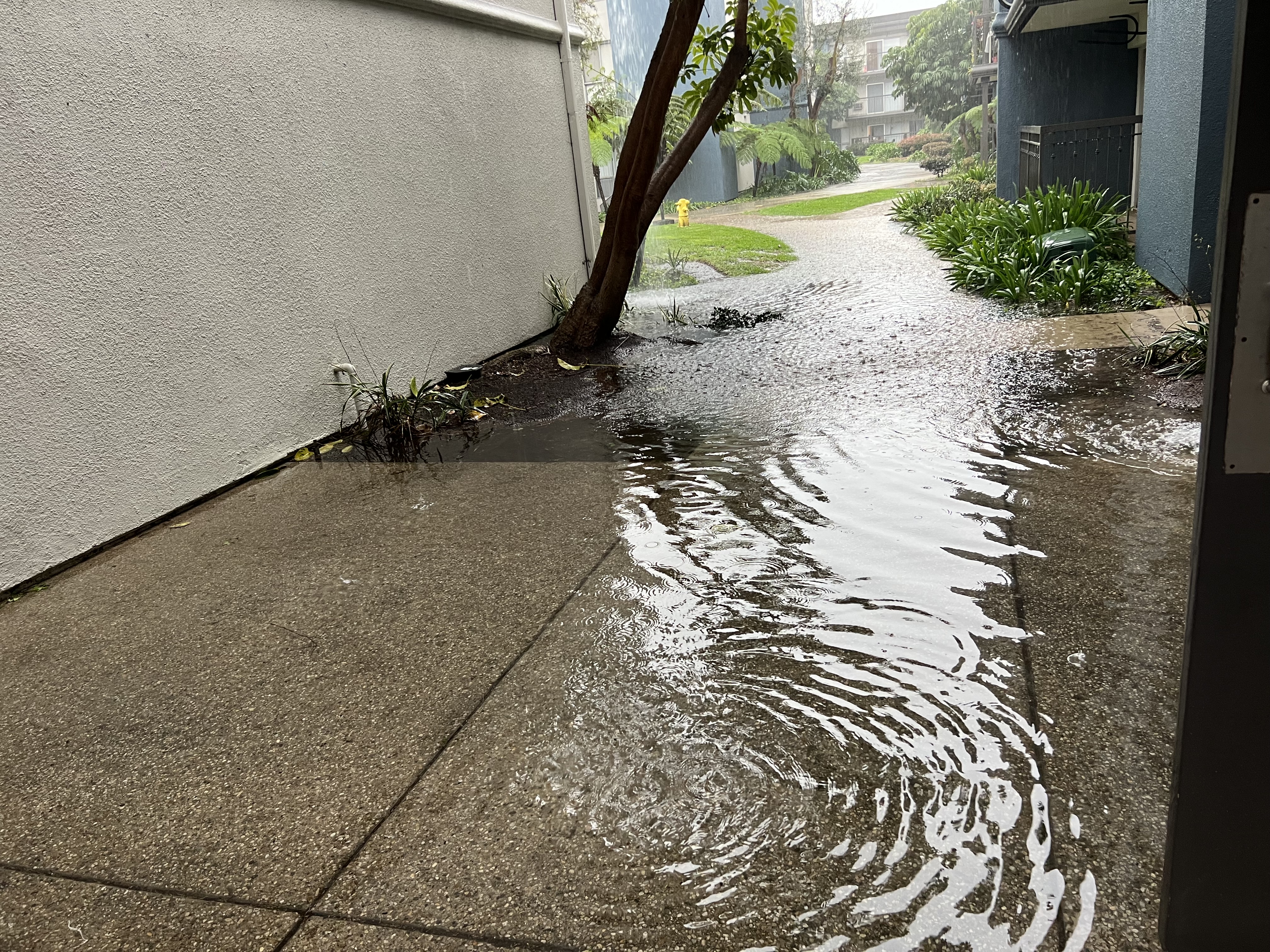 Img: water, fire hydrant, hydrant