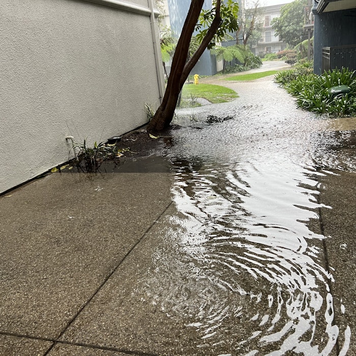 Img: water, fire hydrant, hydrant
