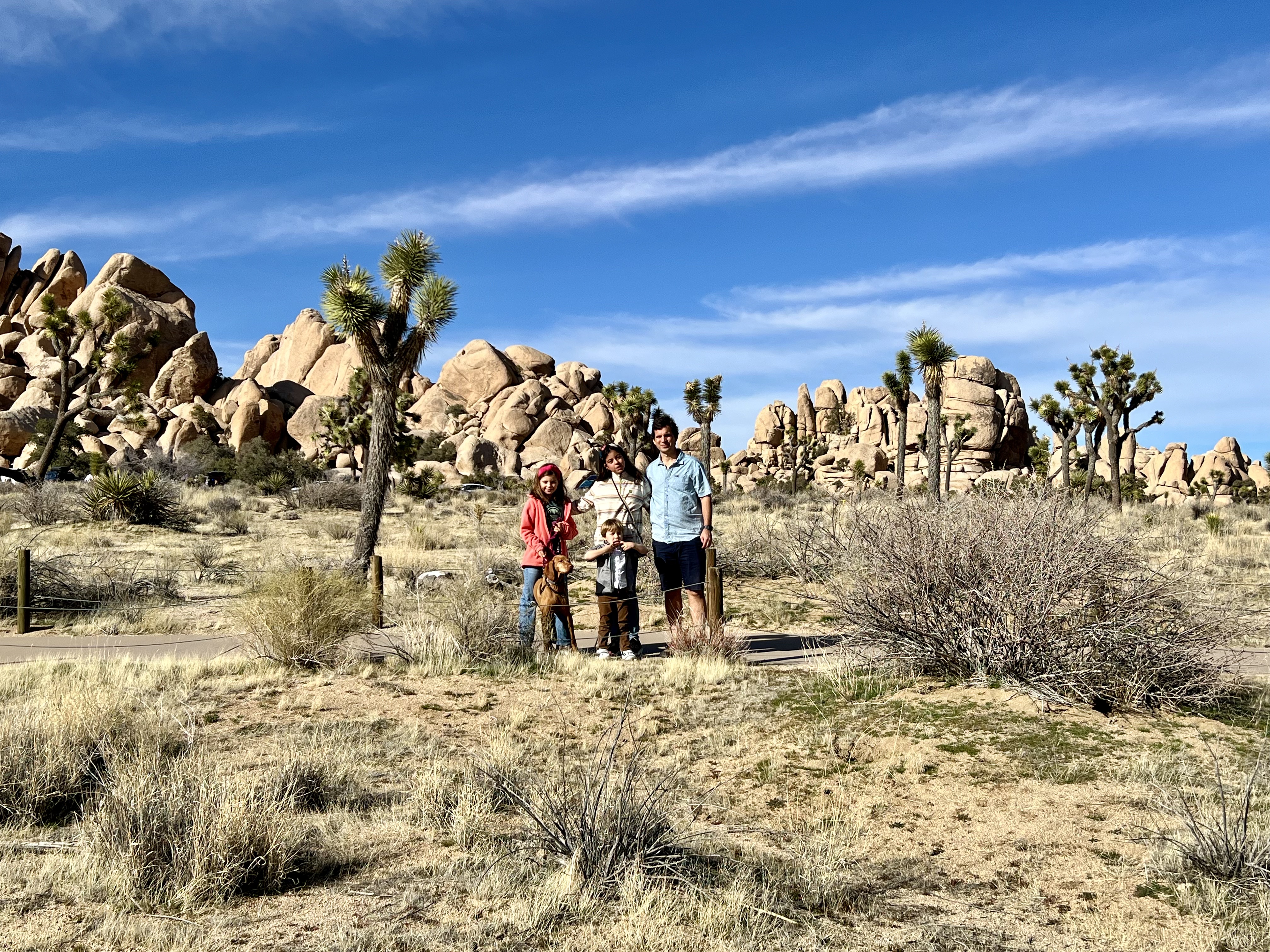 Img: person, outdoors, nature