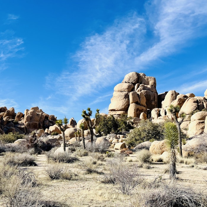 Img: rock, ground, nature, outdoors, wilderness, scenery