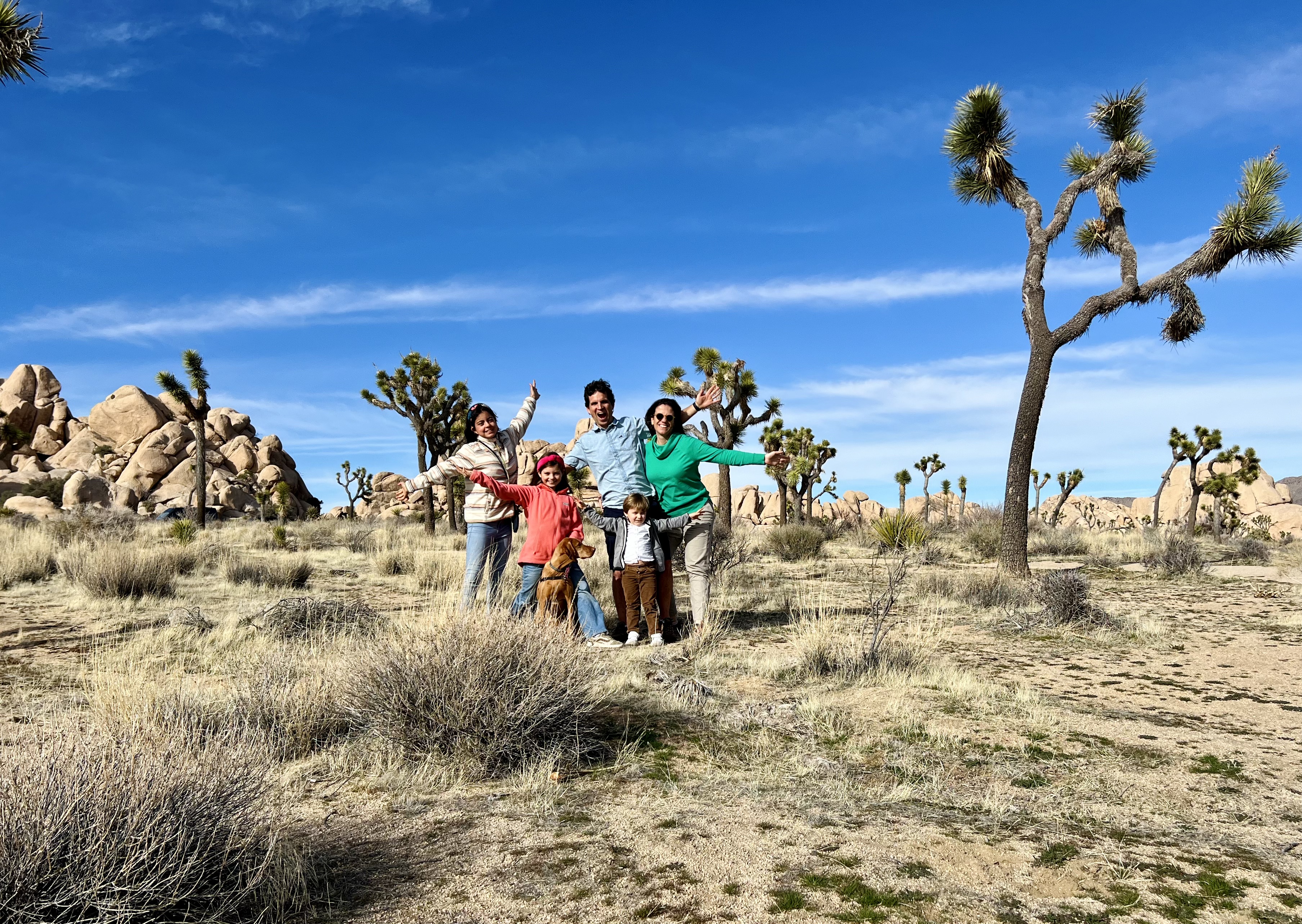 Img: rock, nature, outdoors, wilderness, summer, shelter, shorts, tree, scenery, glove