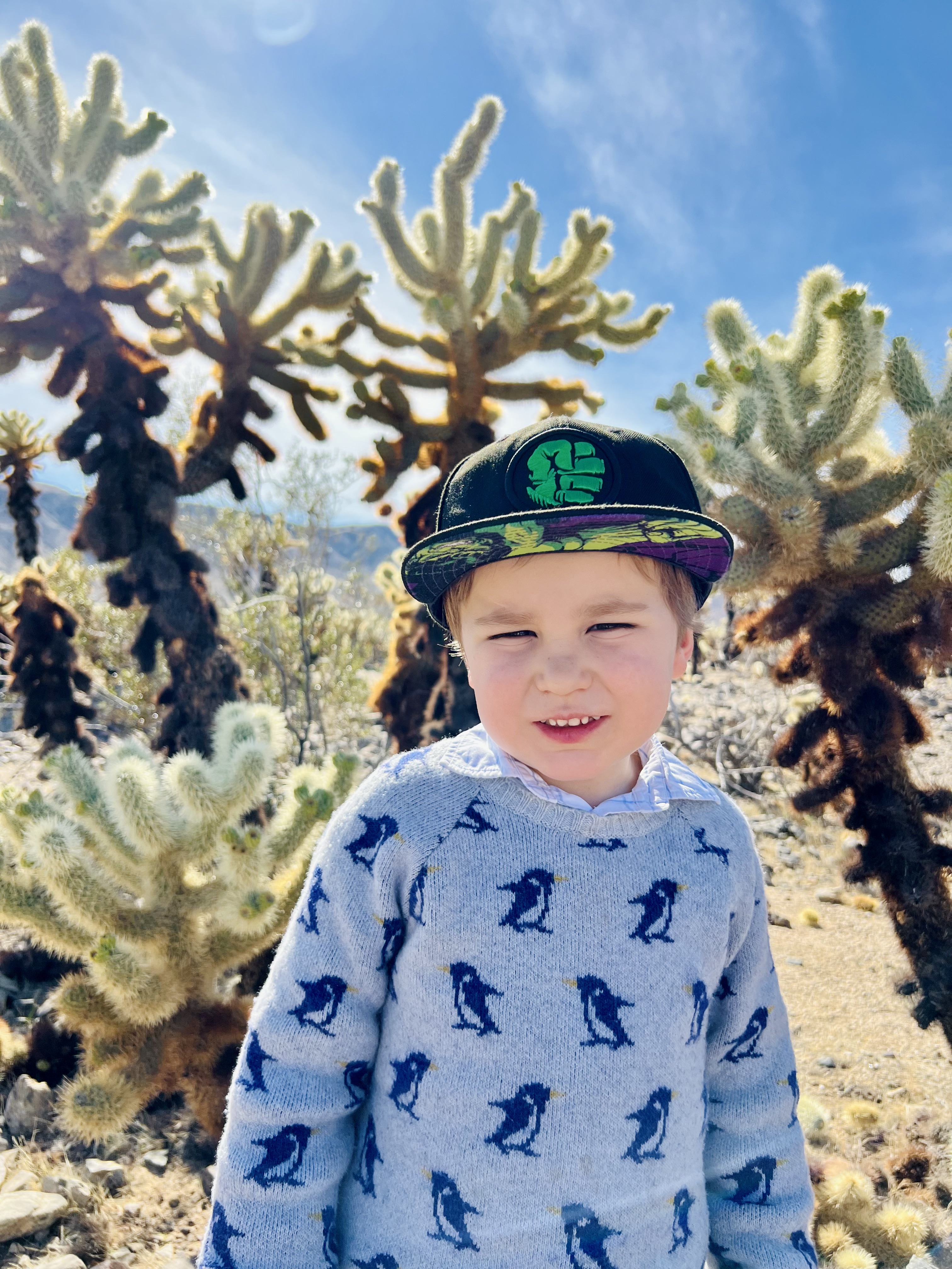Img: face, head, person, photography, portrait, cap, hat, smile, cactus, sweater