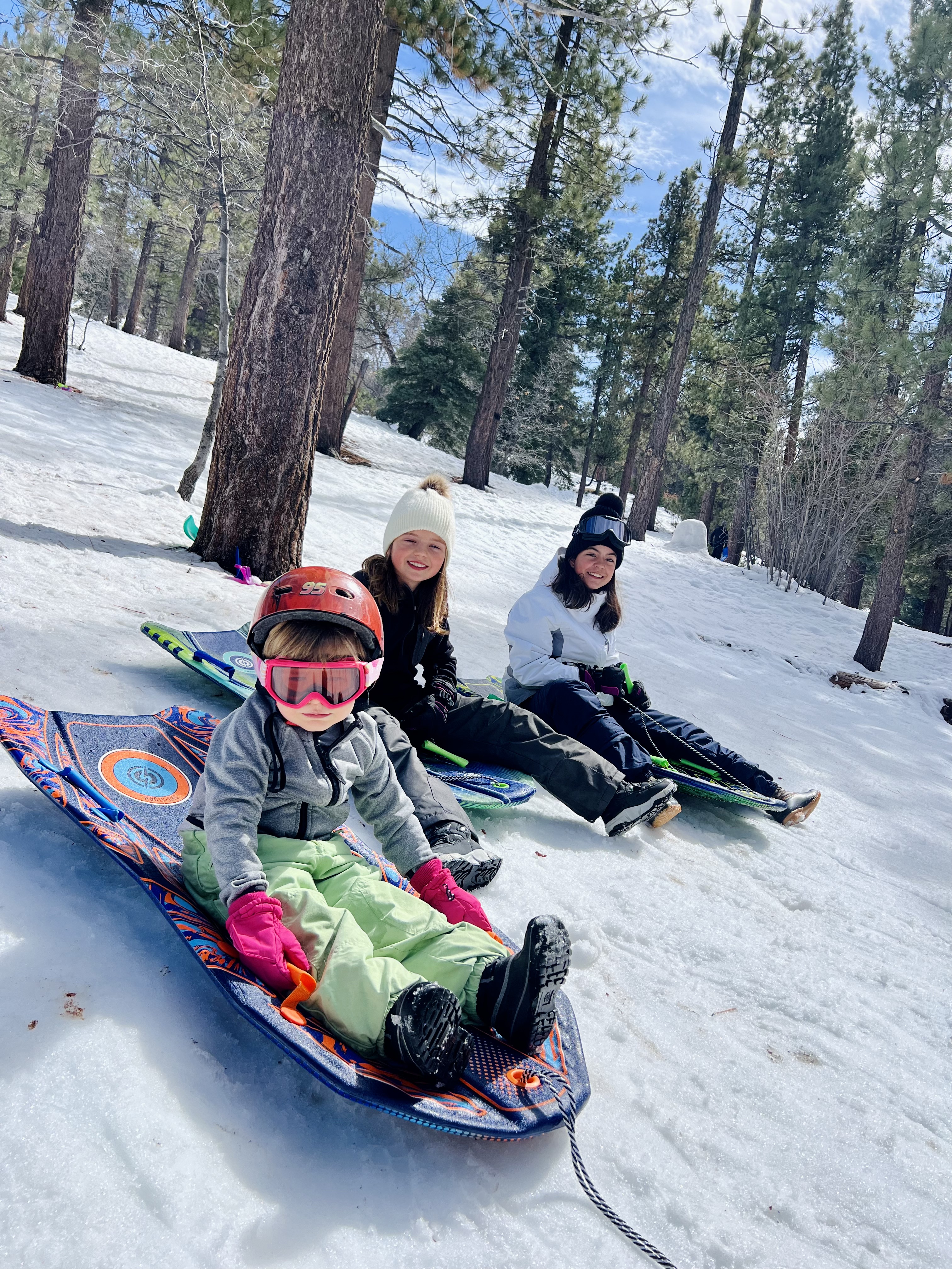 Img: glove, shoe, adult, female, person, woman, tree, vegetation, outdoors, nature