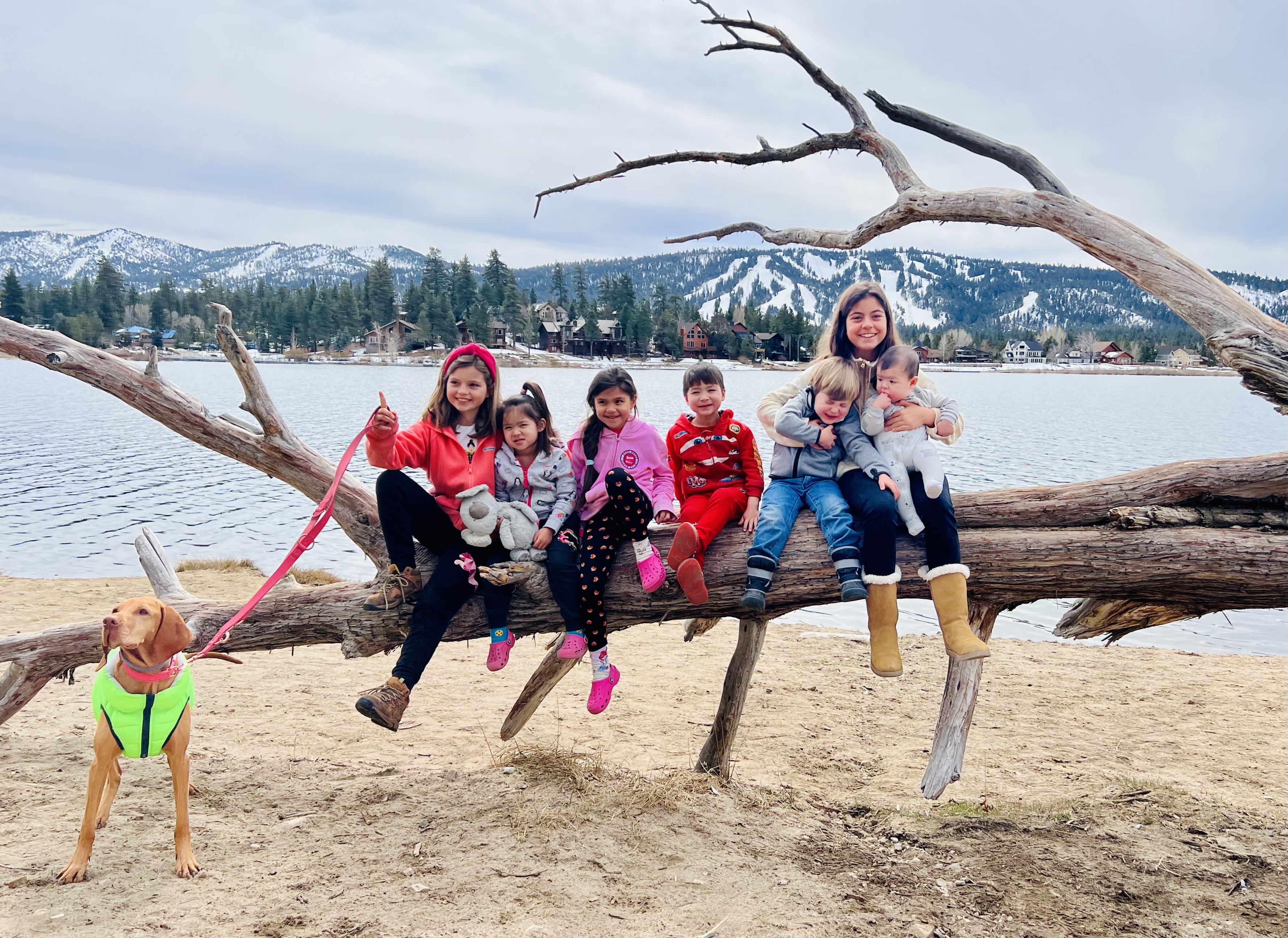 Img: wood, people, person, shoe, pants, dog, outdoors, nature, bracelet, portrait