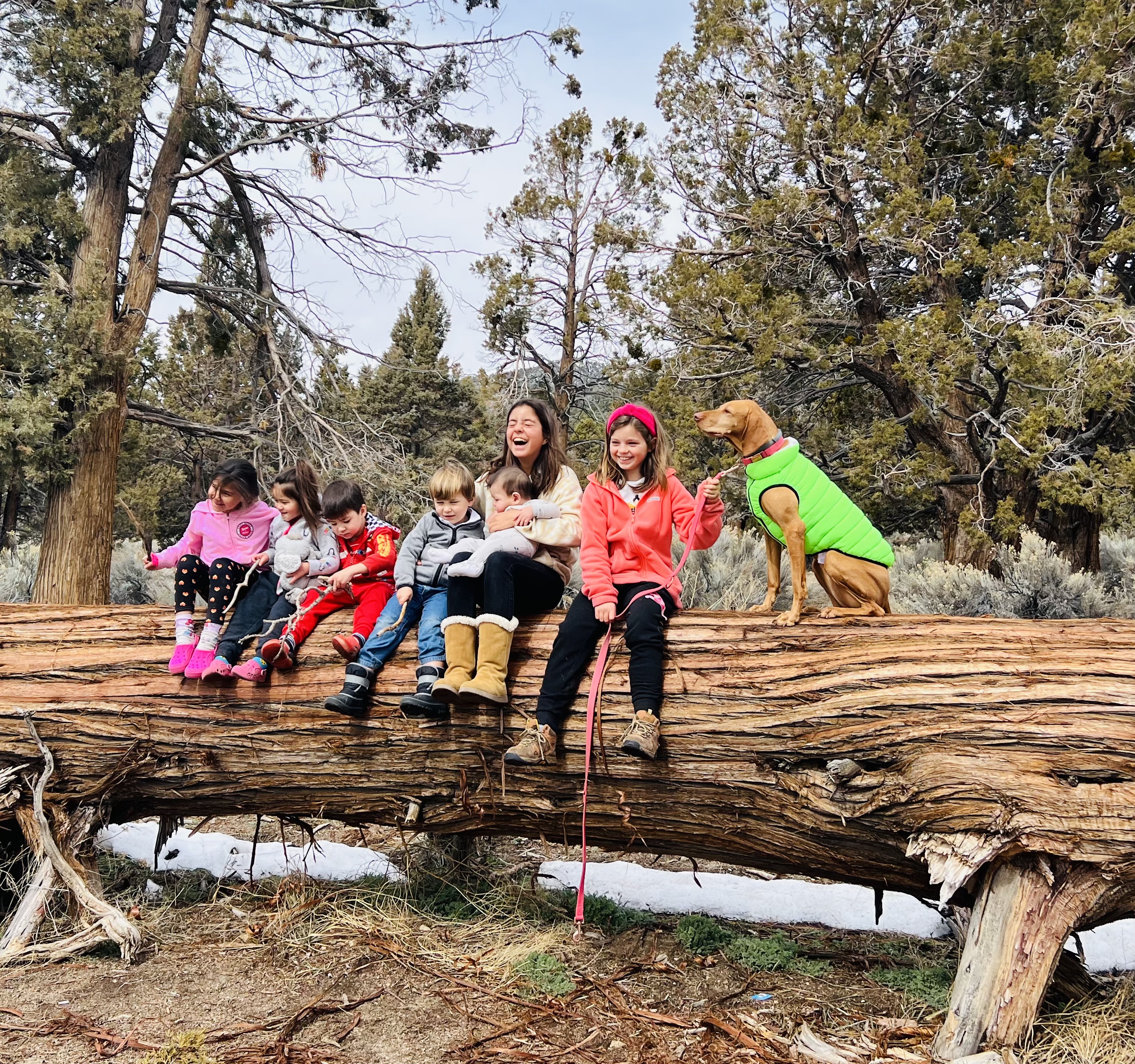 Img: tree, vegetation, wood, park, grove, woodland, people, photography, portrait, shoe