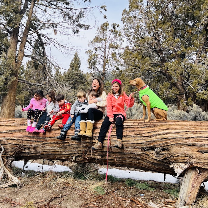 Img: tree, vegetation, wood, park, grove, woodland, people, photography, portrait, shoe