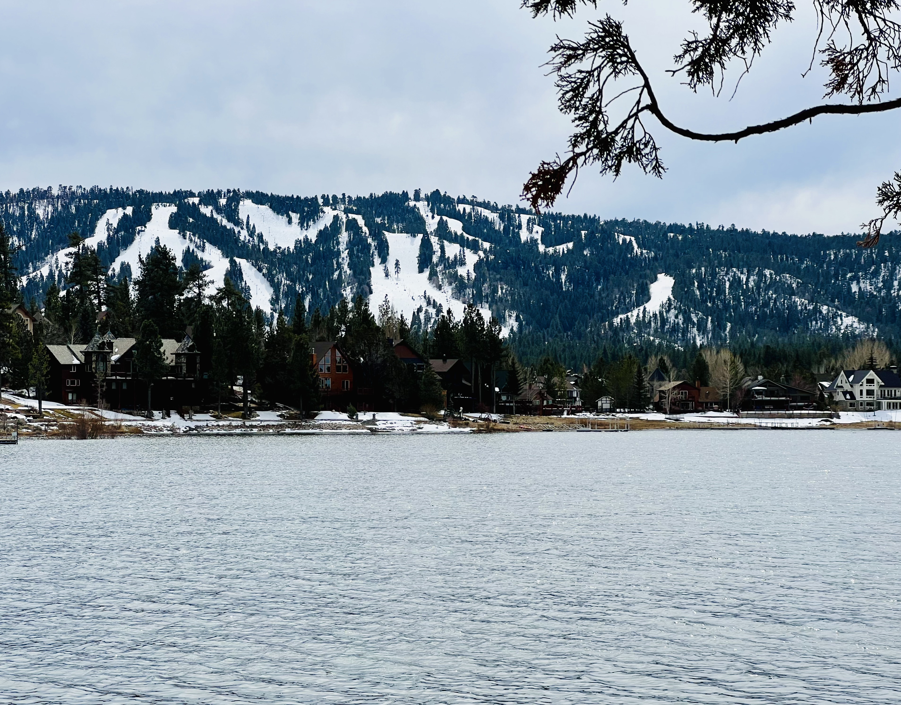 Img: plant, tree, fir, nature, outdoors, scenery, conifer, lake, water