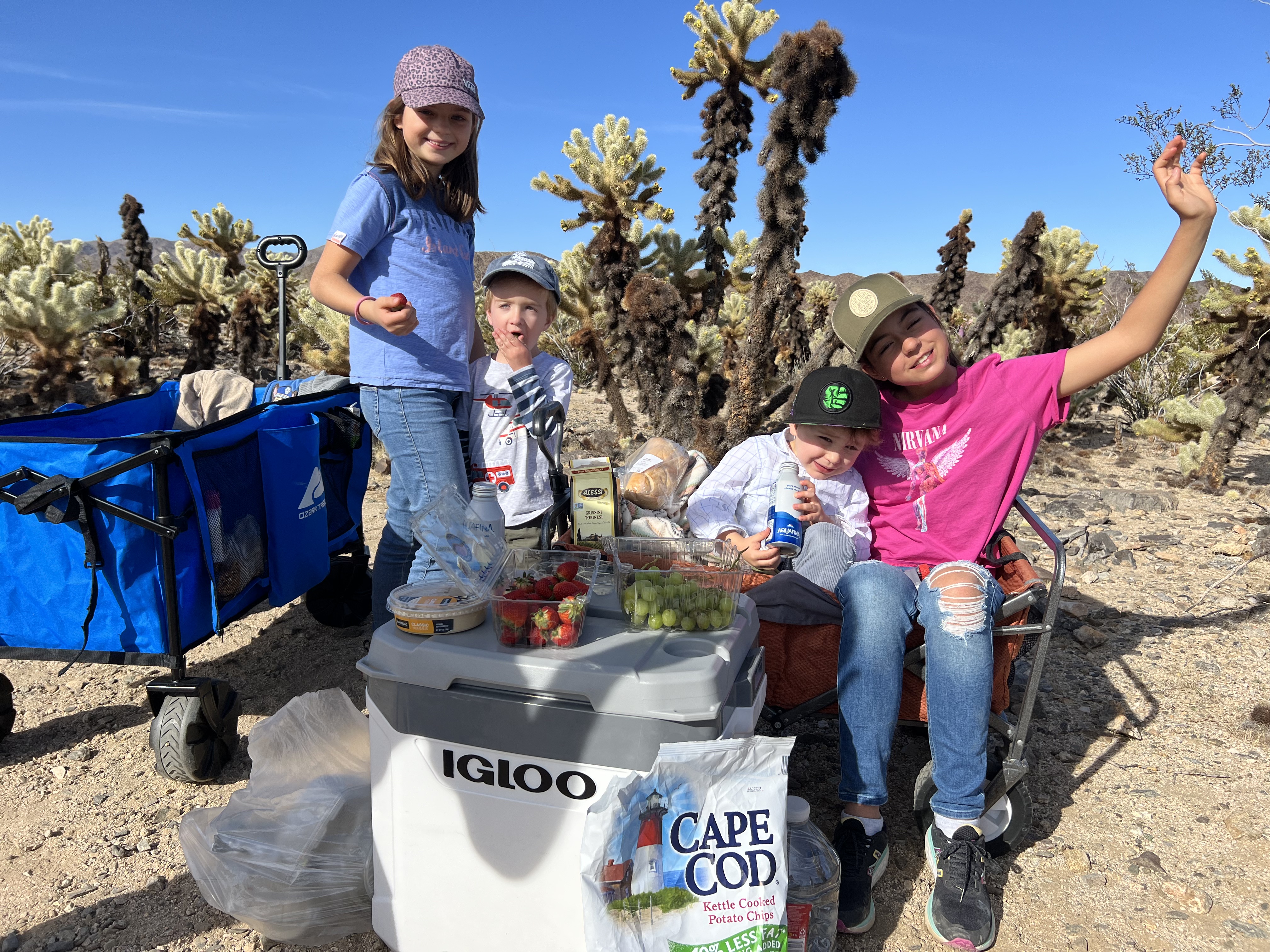 Img: soil, shoe, hat, pants, female, girl, person, teen, child, cap