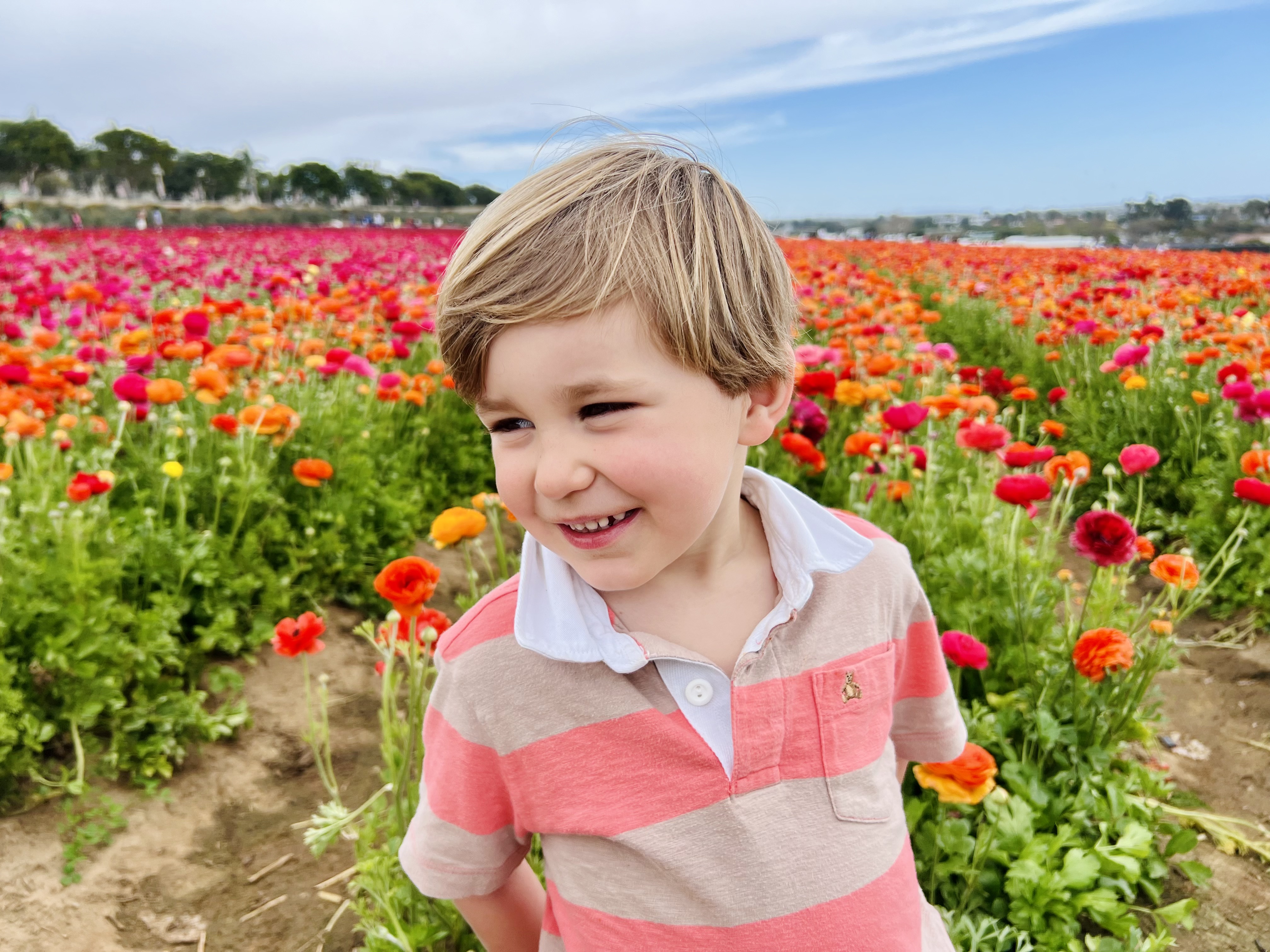 Img: face, person, photography, portrait, flower, petal, grass, smile, daisy, field