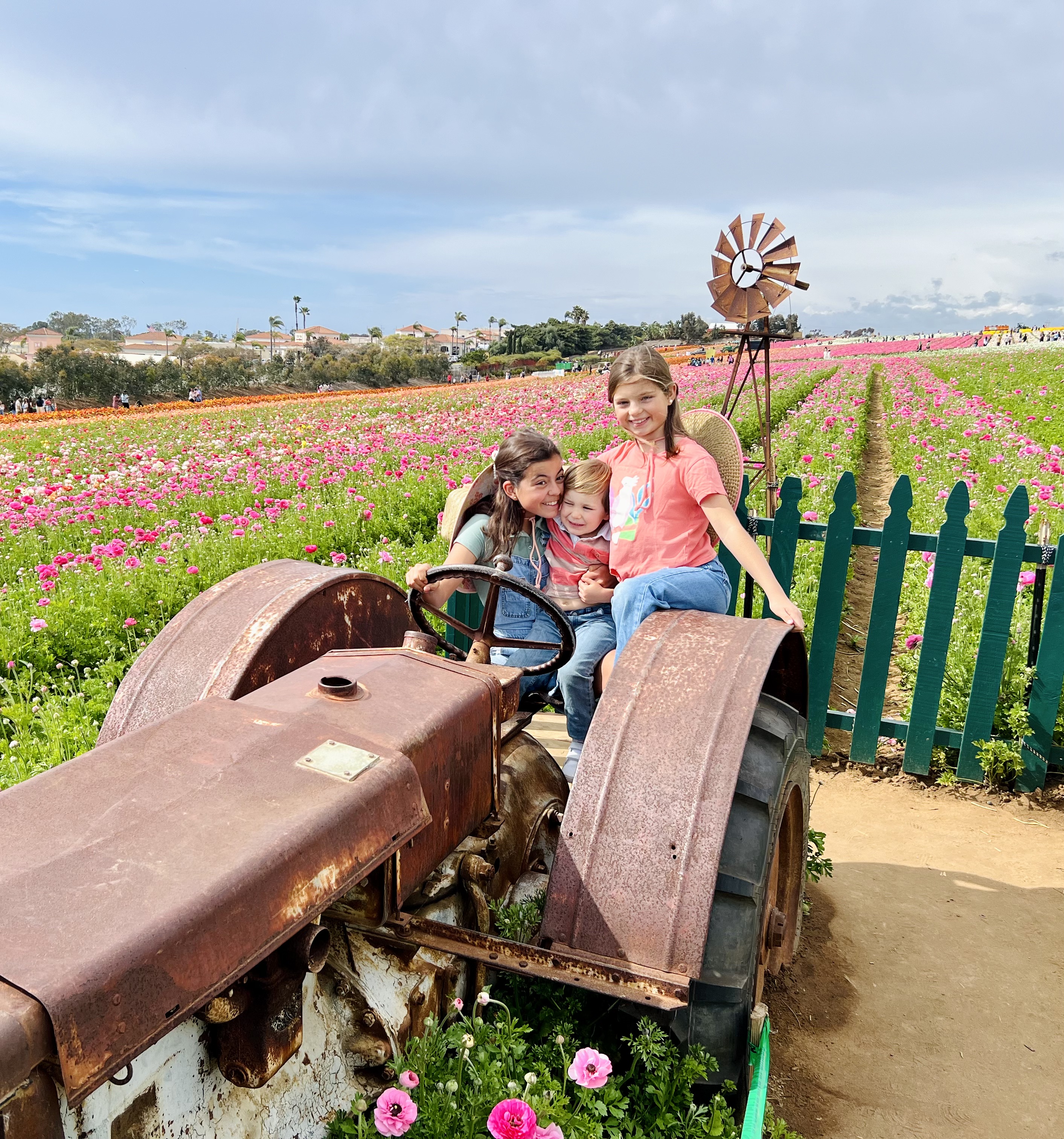 Img: person, outdoors, nature, child, female, girl, footwear, shoe, flower, plant