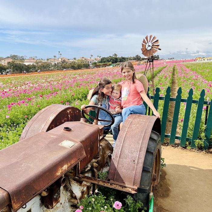 Img: person, outdoors, nature, child, female, girl, footwear, shoe, flower, plant
