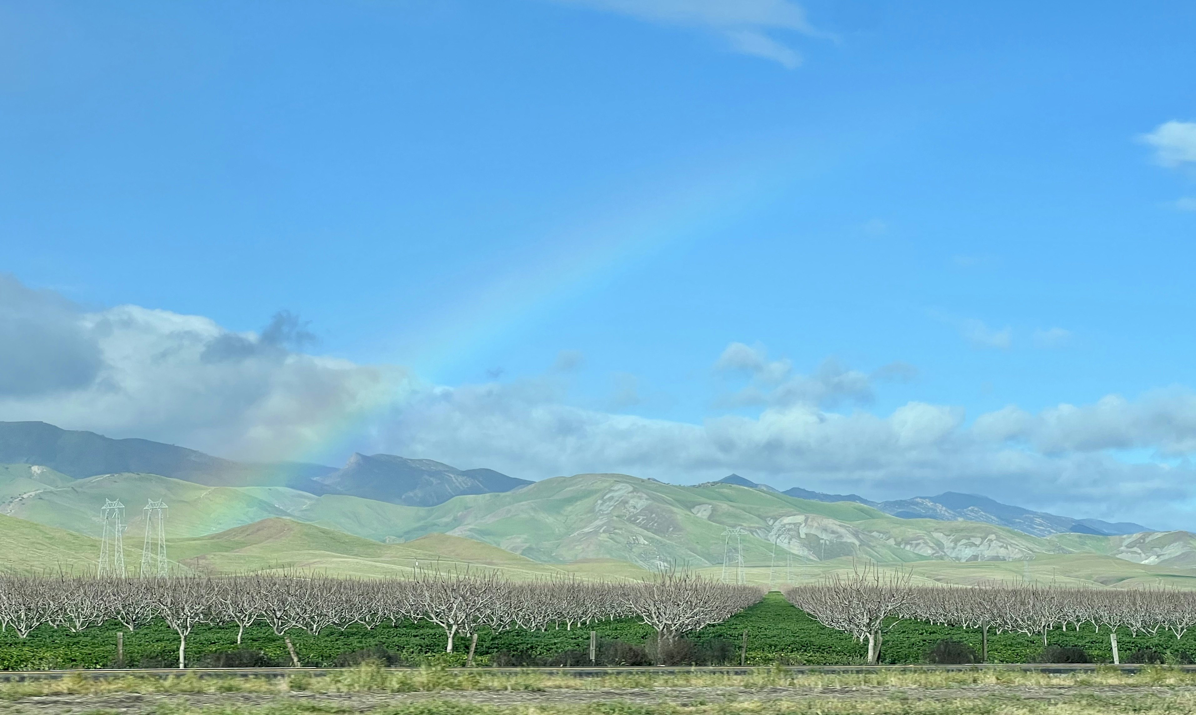 Img: nature, outdoors, sky, scenery, rainbow, landscape, grass, plant, countryside, grassland