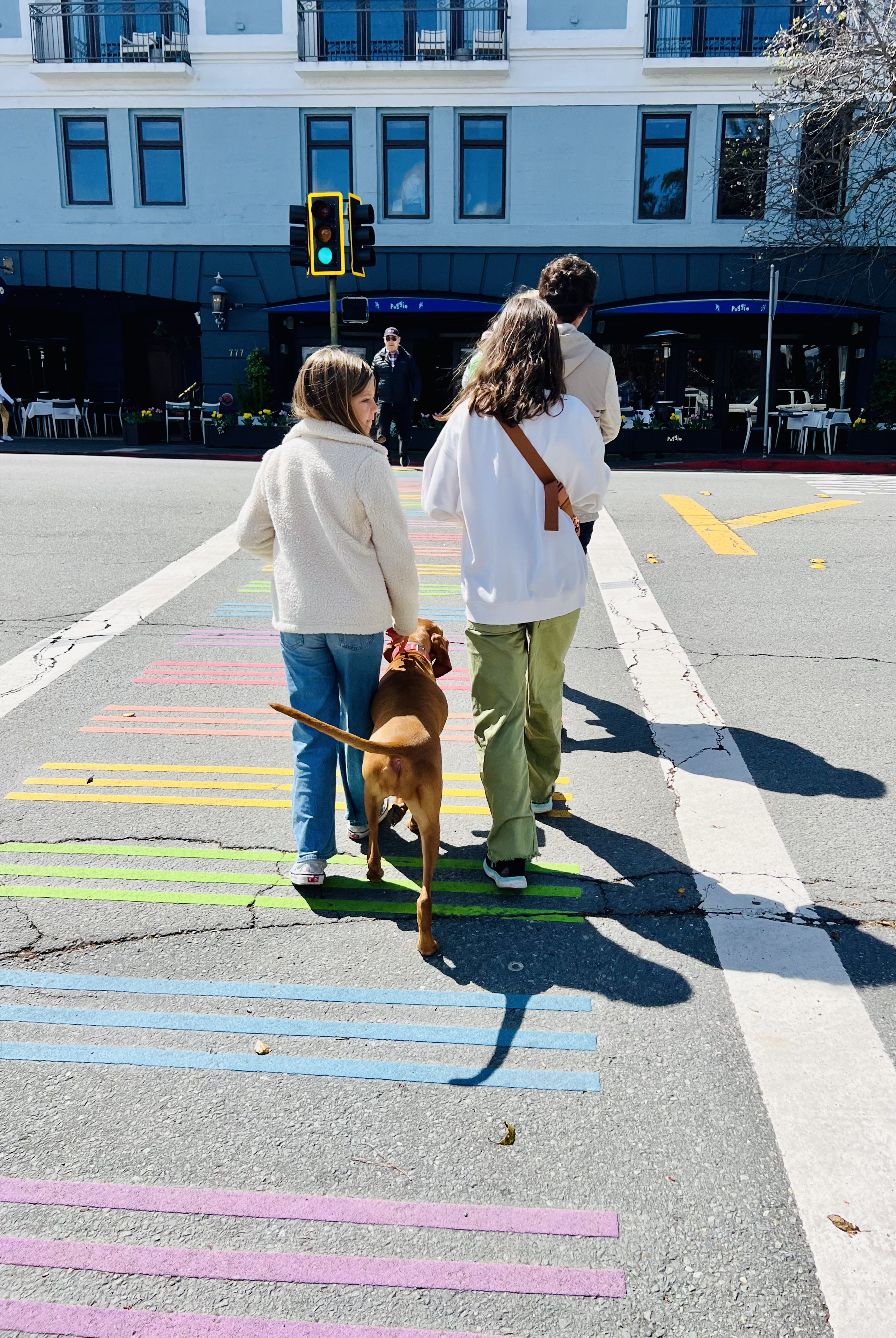Img: traffic light, shoe, person, pedestrian, canine, dog, pet, chair, pants, hoodie