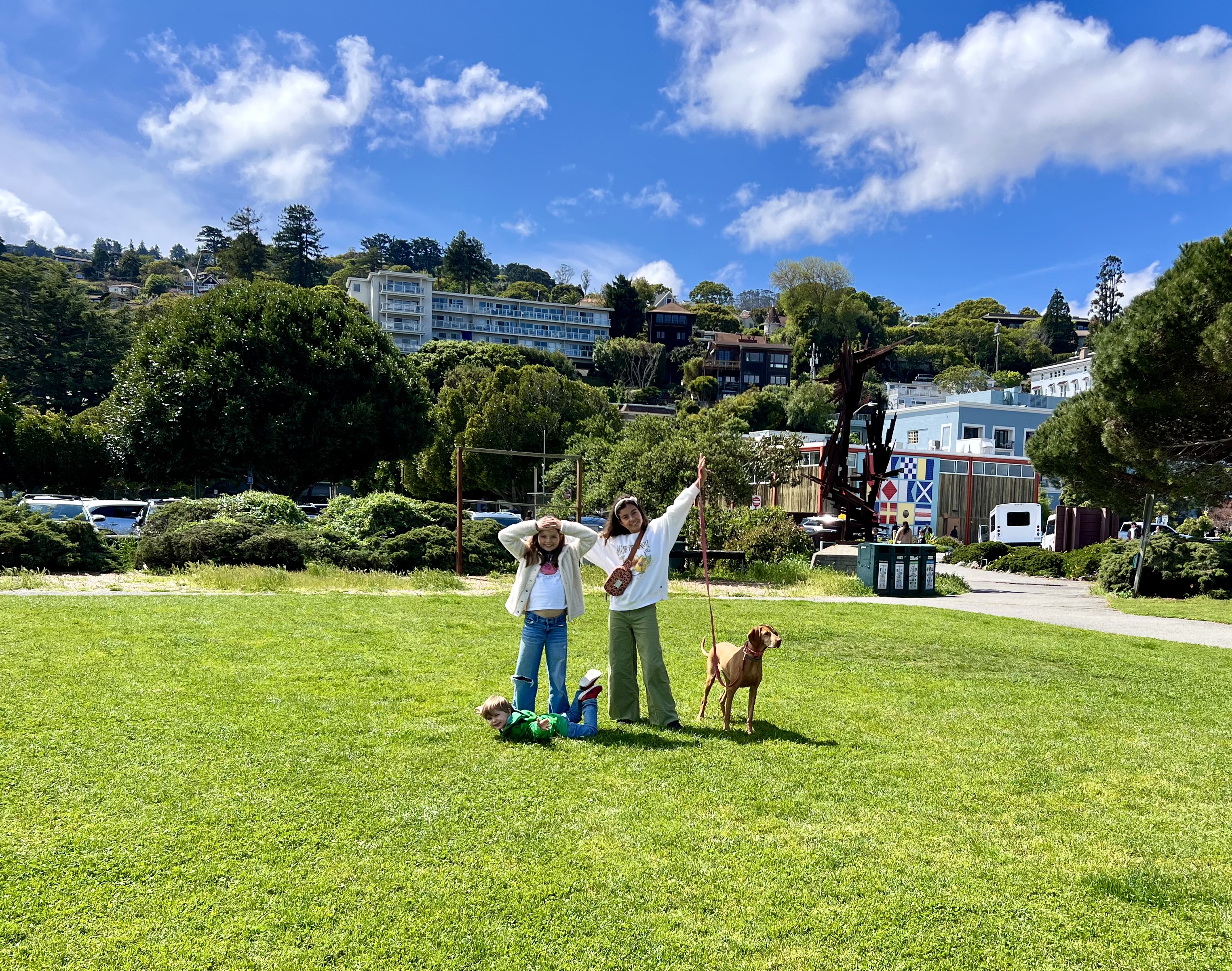 Img: grass, park, lawn, neighborhood, photography, person, portrait, tree, vegetation, teen