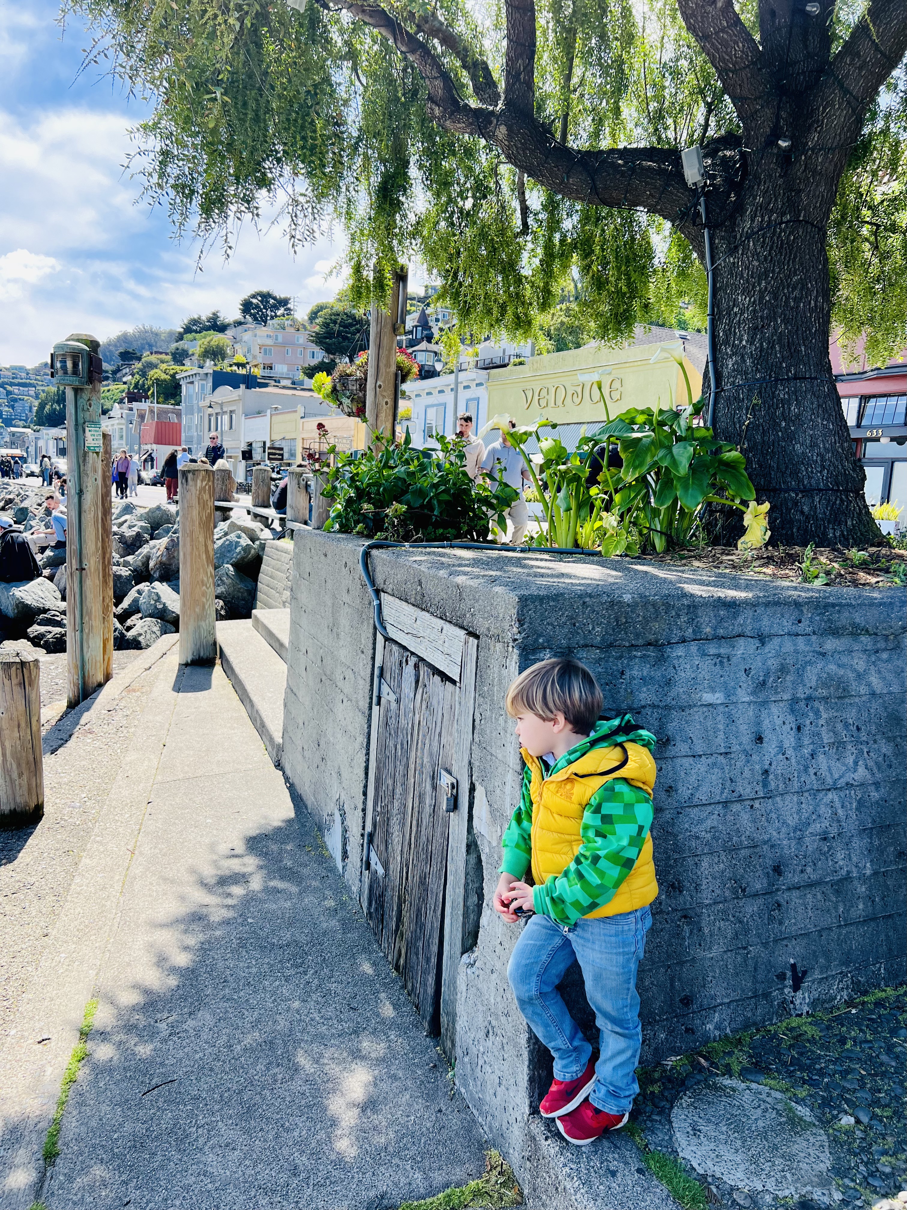 Img: pants, path, tree, sidewalk, walkway, jeans, boy, child, male, person