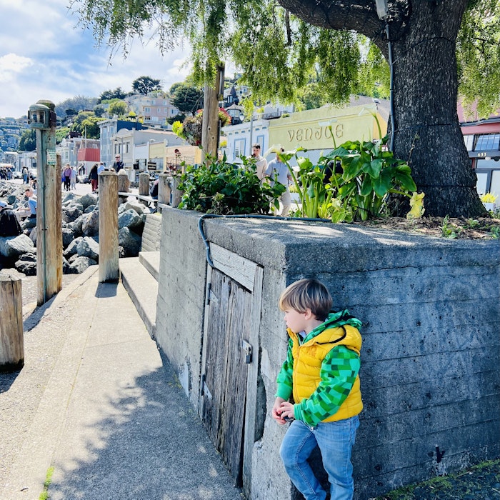 Img: pants, path, tree, sidewalk, walkway, jeans, boy, child, male, person