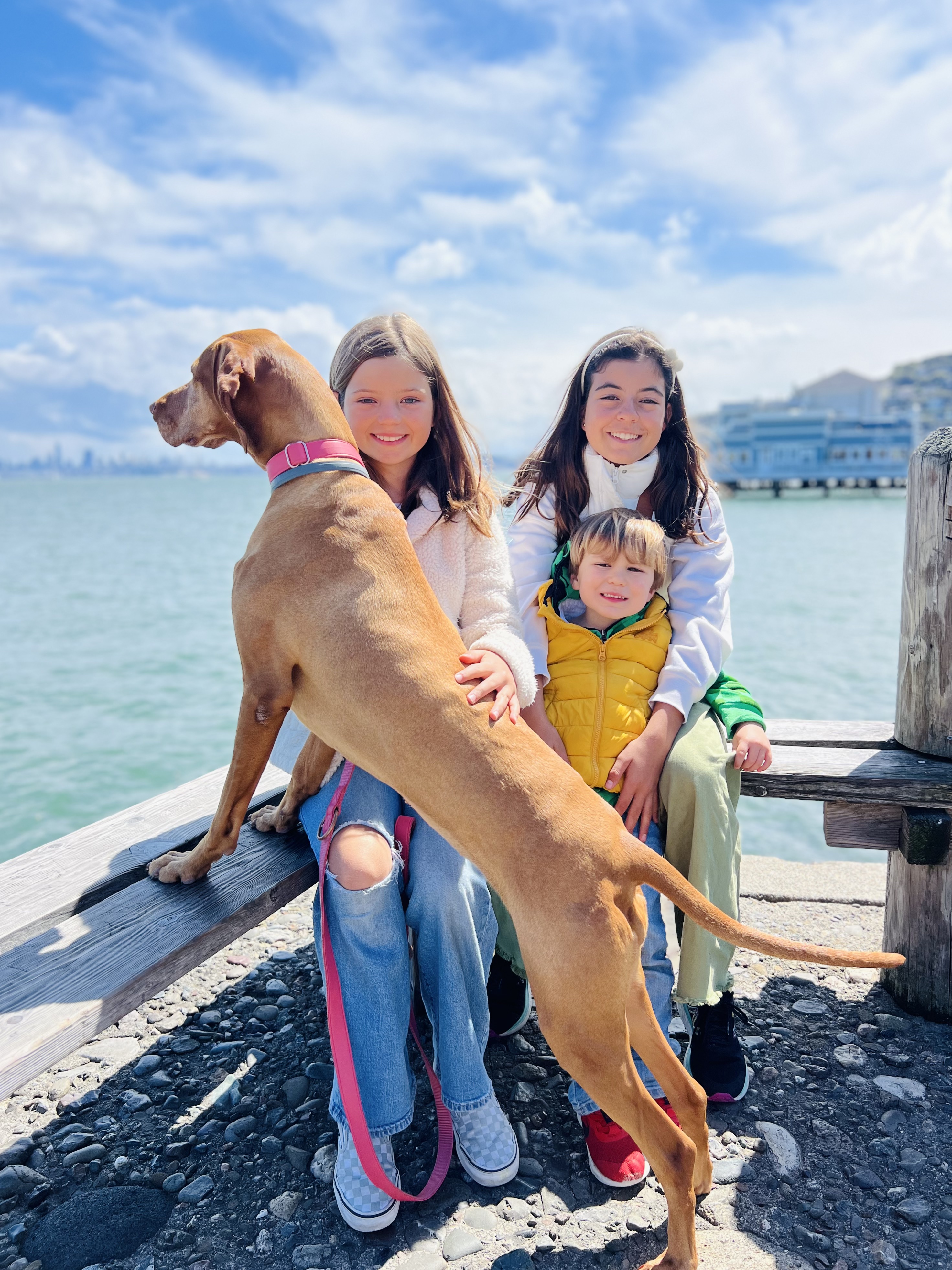 Img: water, waterfront, pants, pier, person, portrait, port, wood, shoe, jeans