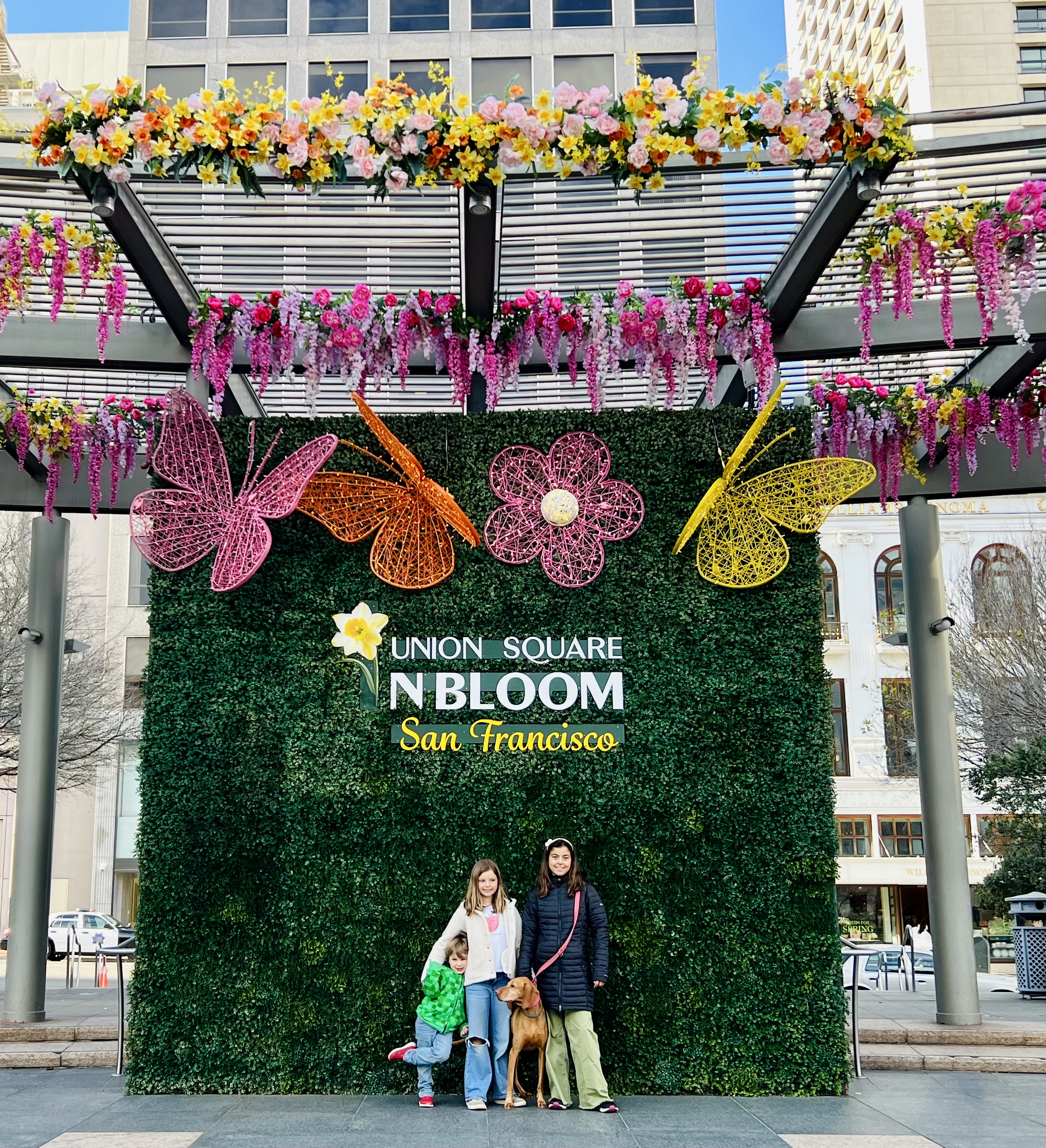 Img: person, urban, people, footwear, shoe, car, vehicle, dog, outdoors, shelter