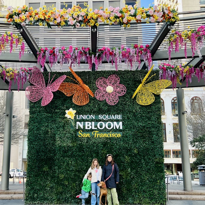 Img: person, urban, people, footwear, shoe, car, vehicle, dog, outdoors, shelter