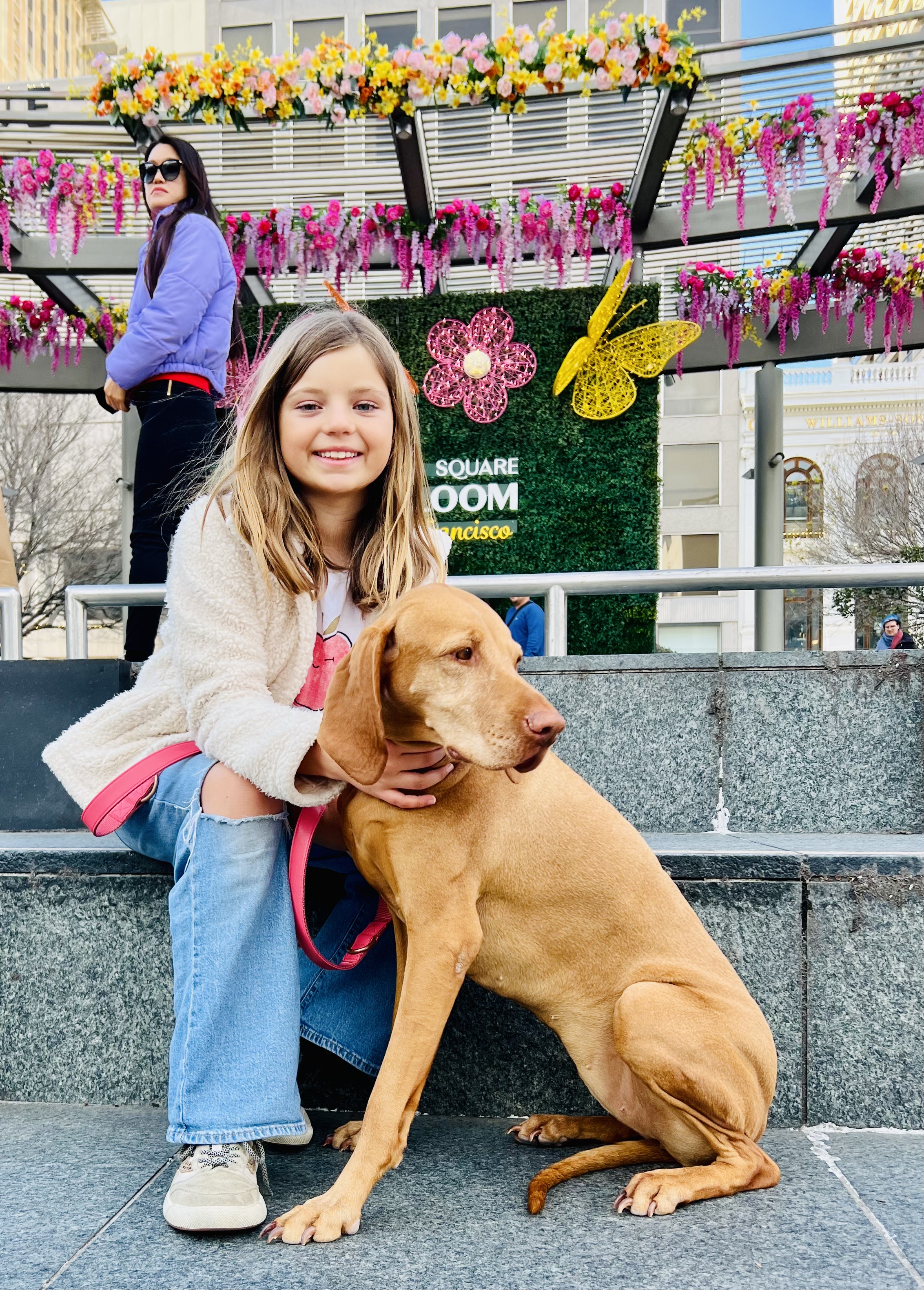 Img: pants, person, photography, portrait, jeans, shoe, purple, dog, hound, flower arrangement