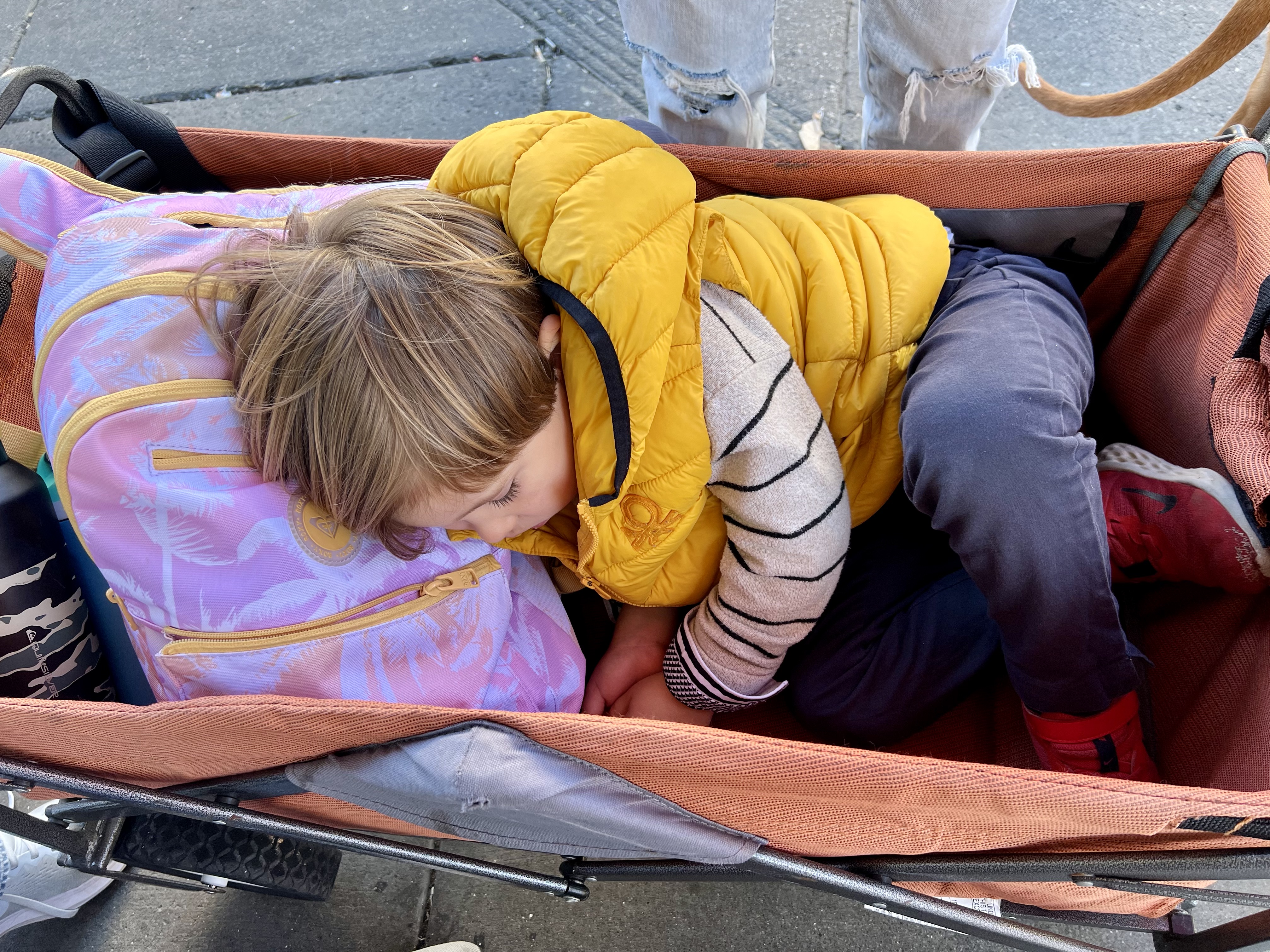 Img: person, clothing, footwear, shoe