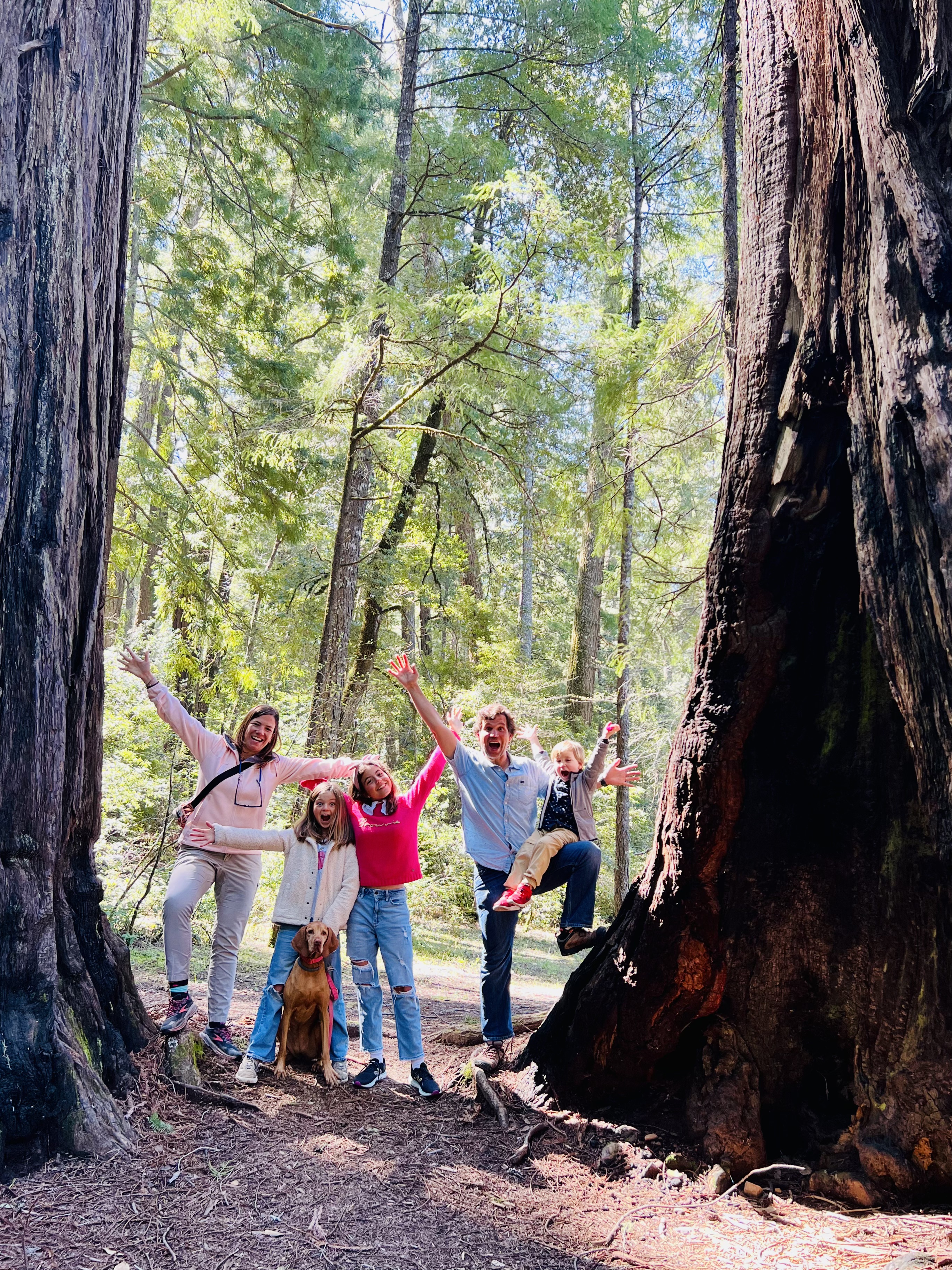 Img: grove, land, tree, vegetation, woodland, pants, photography, portrait, path, hiking