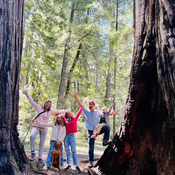 Img: grove, land, tree, vegetation, woodland, pants, photography, portrait, path, hiking