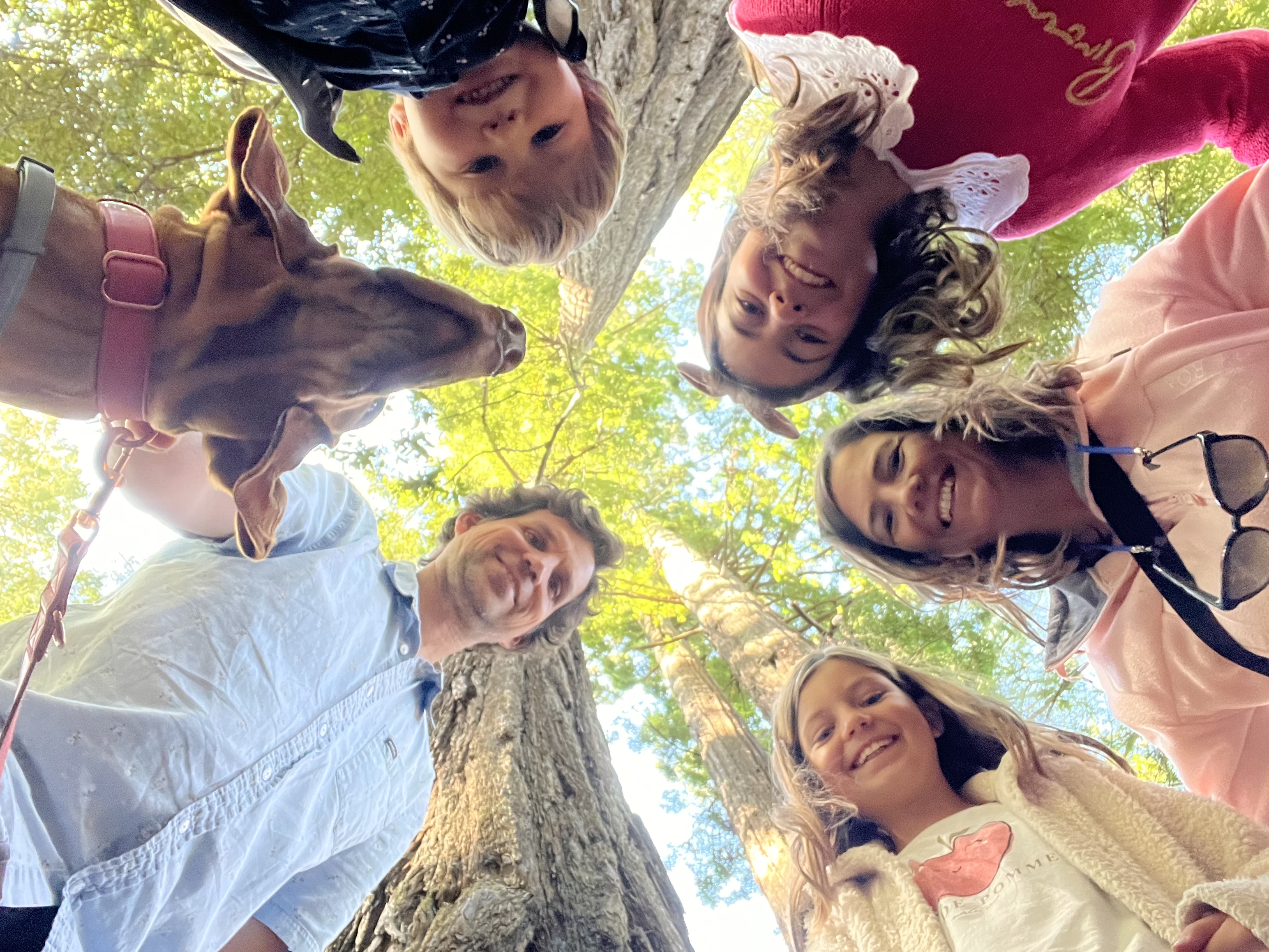 Img: head, photography, portrait, grass, park, tree, vegetation, woodland, people, glasses