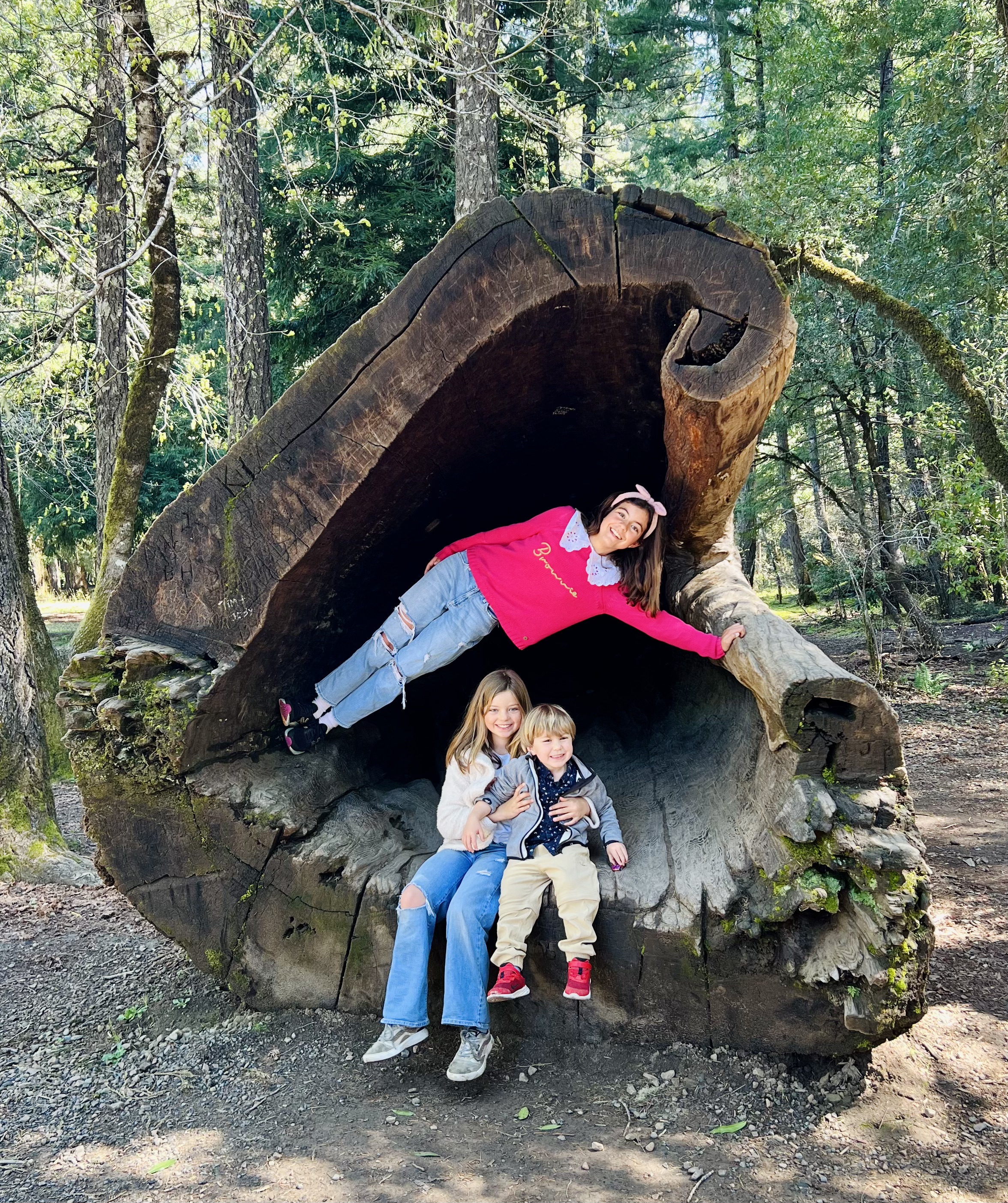 Img: pants, tree, vegetation, grove, land, woodland, park, portrait, rock, jeans