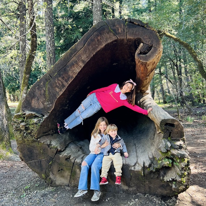 Img: pants, tree, vegetation, grove, land, woodland, park, portrait, rock, jeans