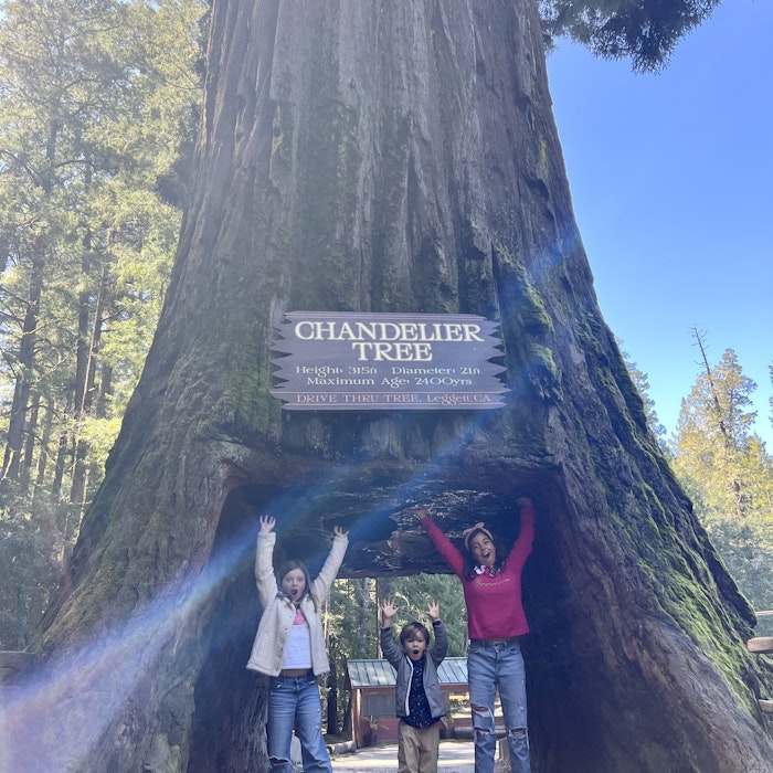 Img: grove, pants, tree, vegetation, woodland, person, portrait, park, jeans, teen
