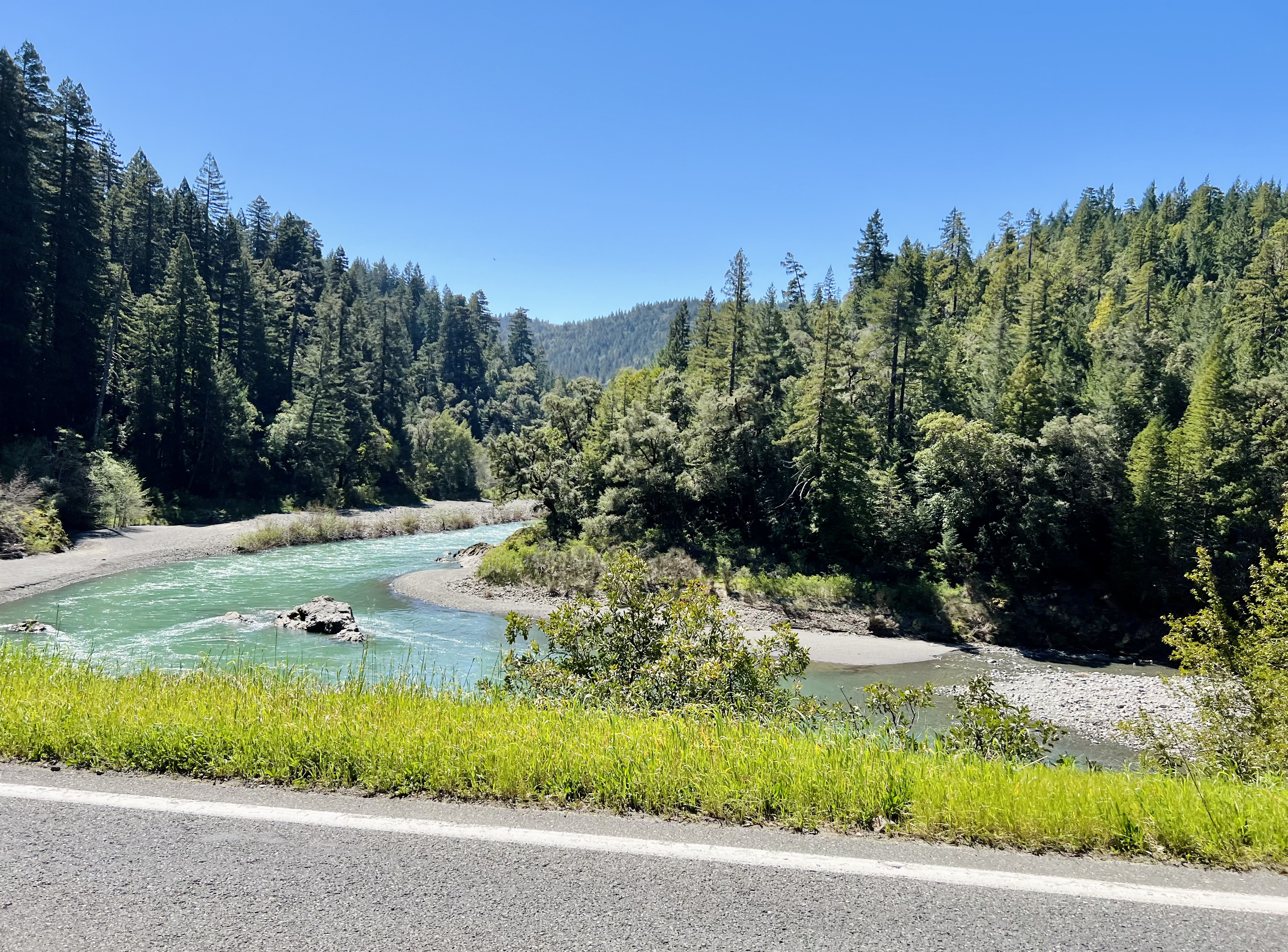 Img: fir, tree, nature, outdoors, scenery, conifer, vegetation, pine, road, canoeing