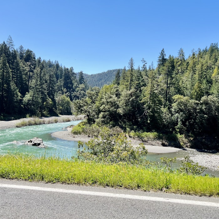 Img: fir, tree, nature, outdoors, scenery, conifer, vegetation, pine, road, canoeing