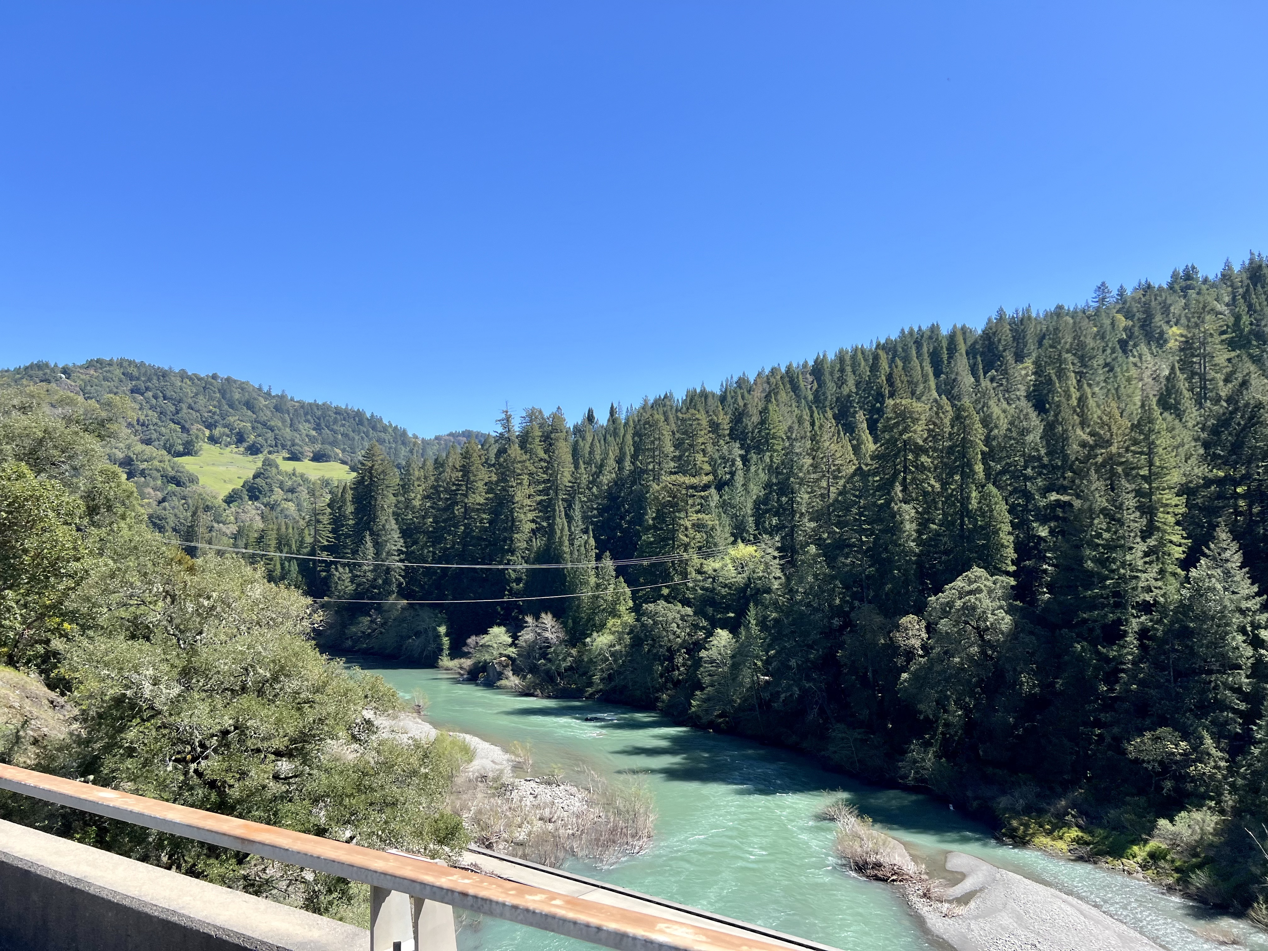 Img: plant, tree, fir, conifer, vegetation, nature, outdoors, scenery