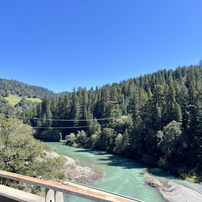 Img: plant, tree, fir, conifer, vegetation, nature, outdoors, scenery